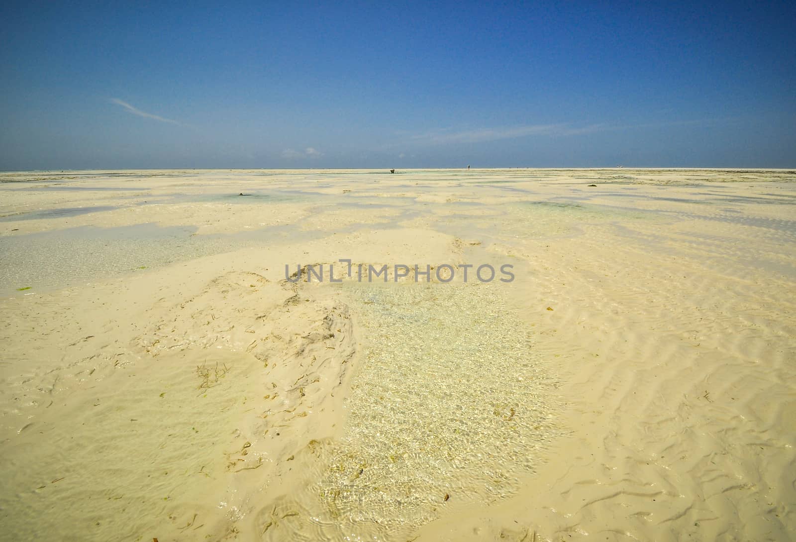 Zanzibar beach and coral rocks bule green ozean Tanzania