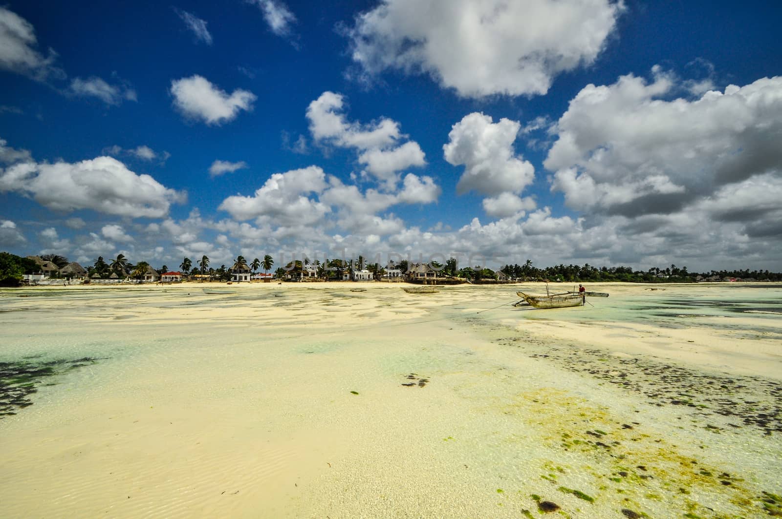 Zanzibar beach and coral rocks bule green ozean Tanzania