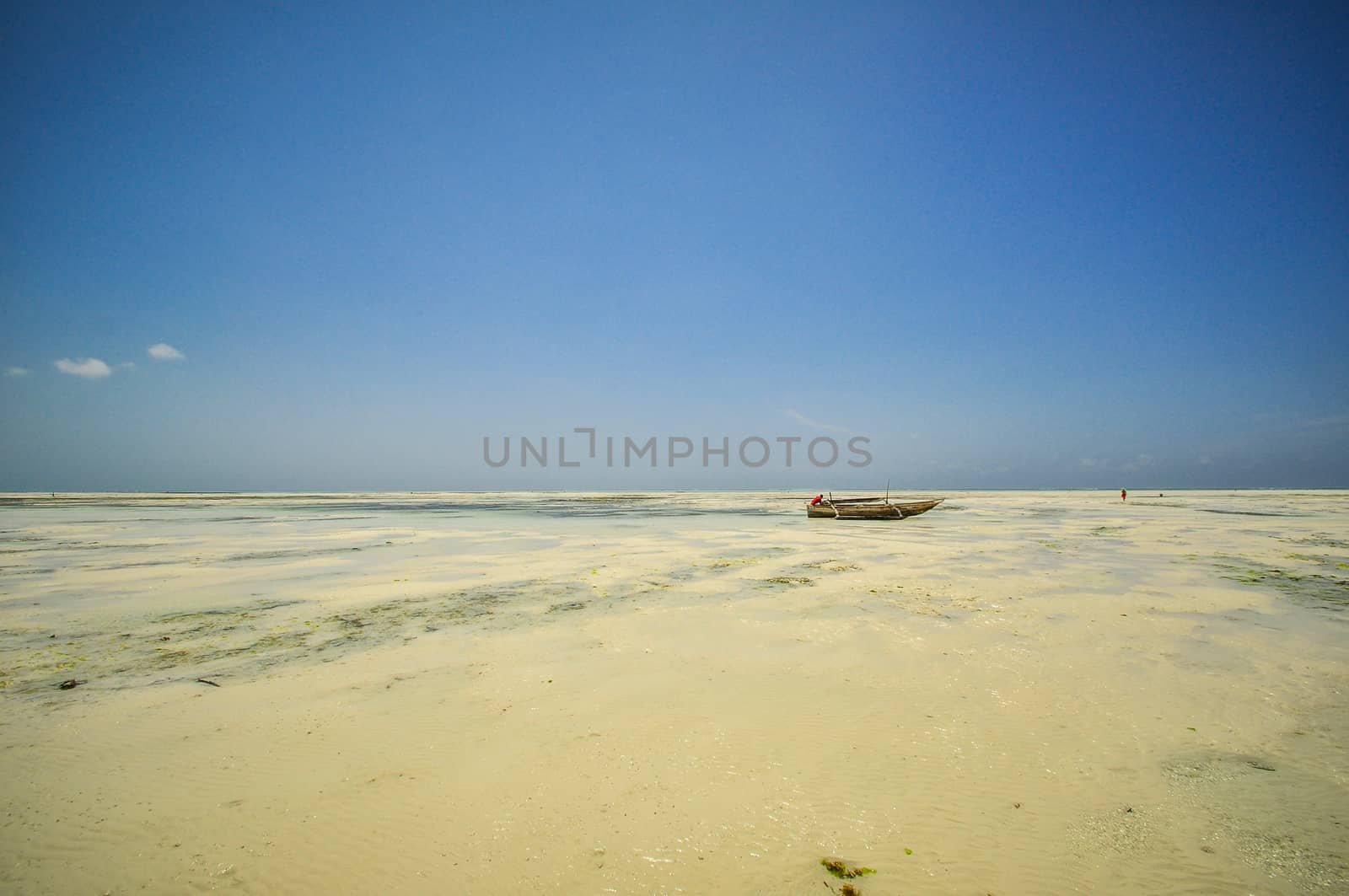 Zanzibar beach and coral rocks bule green ozean Tanzania