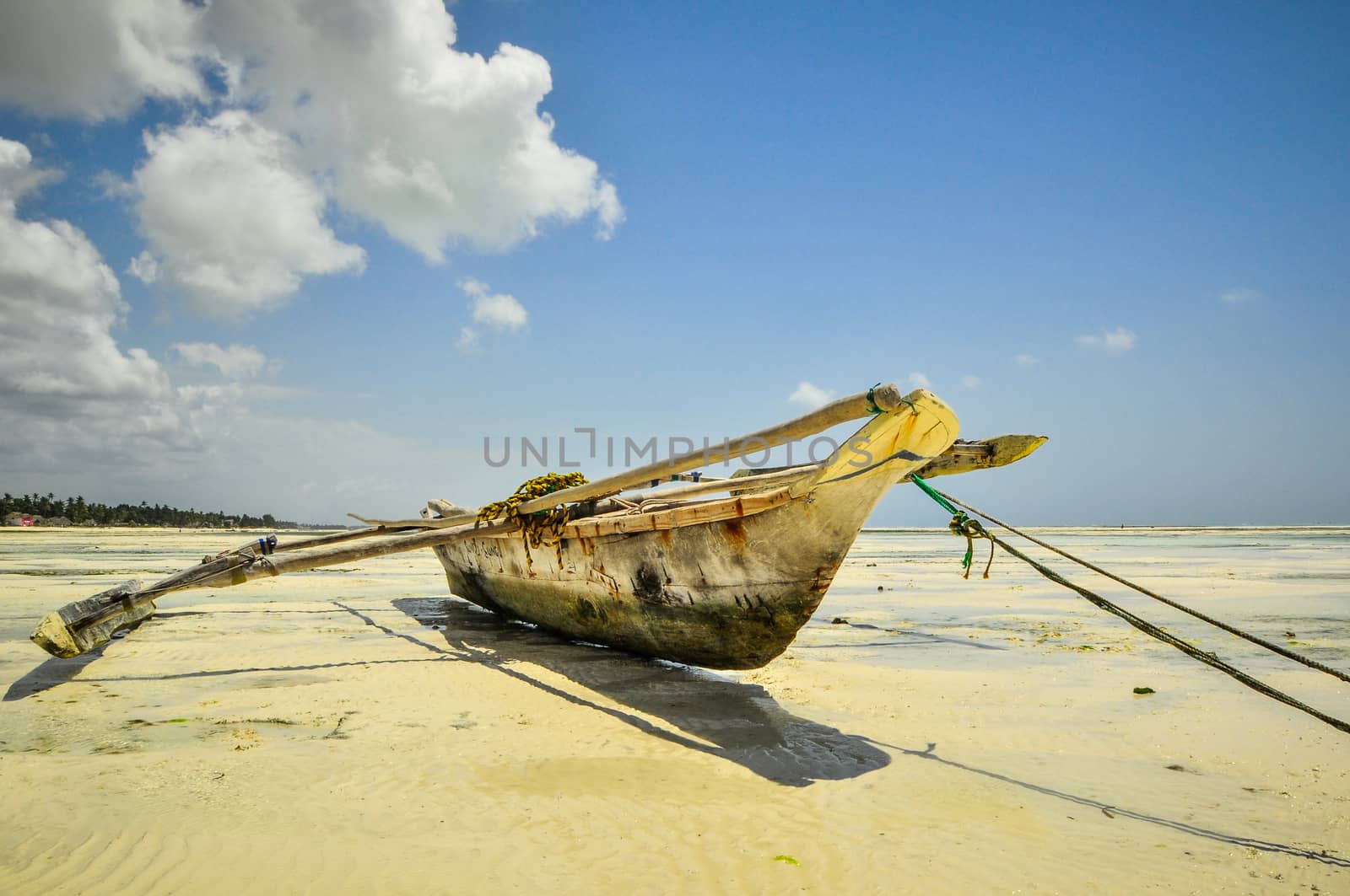 Zanzibar beach and coral rocks bule green ozean Tanzania