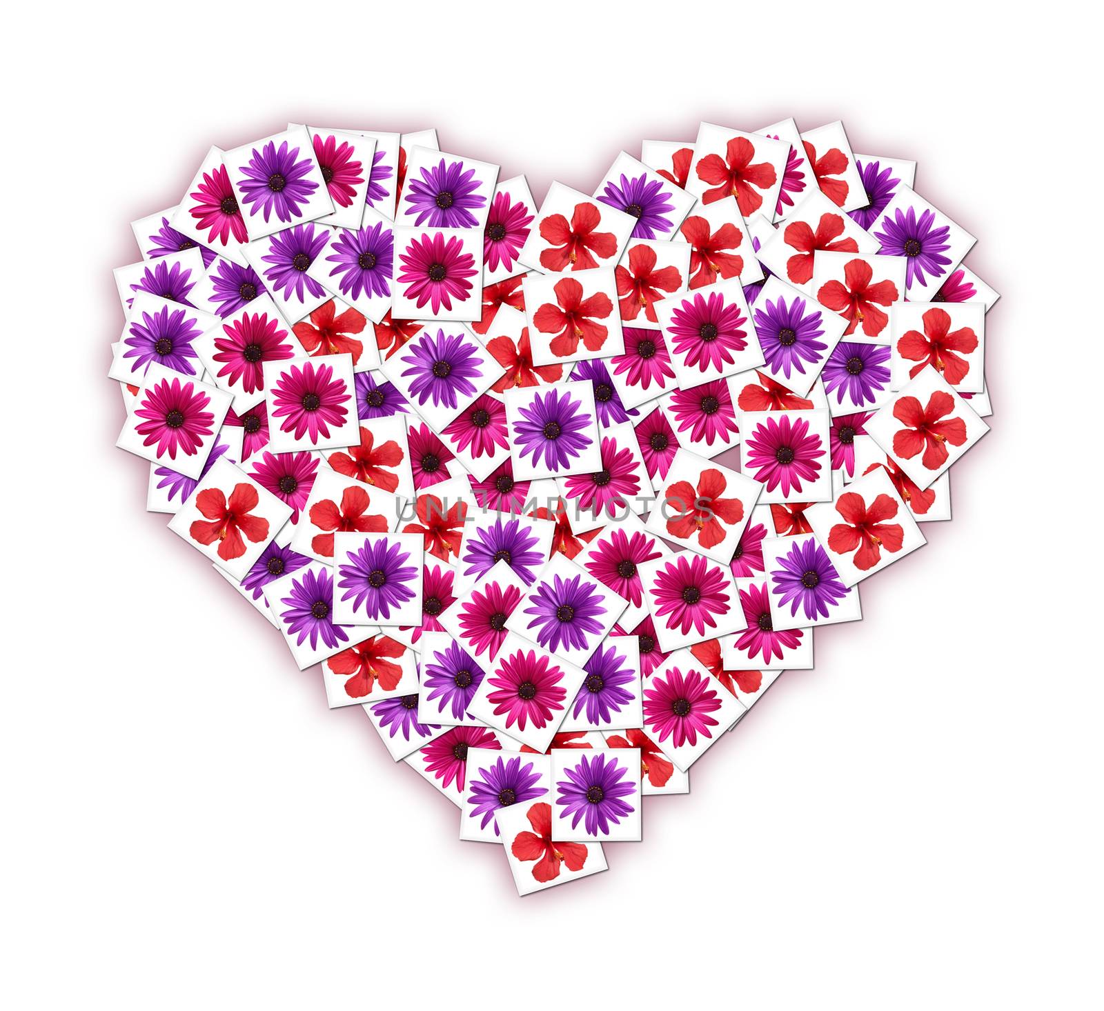 Collage of blossoming flowers in the shape of heart