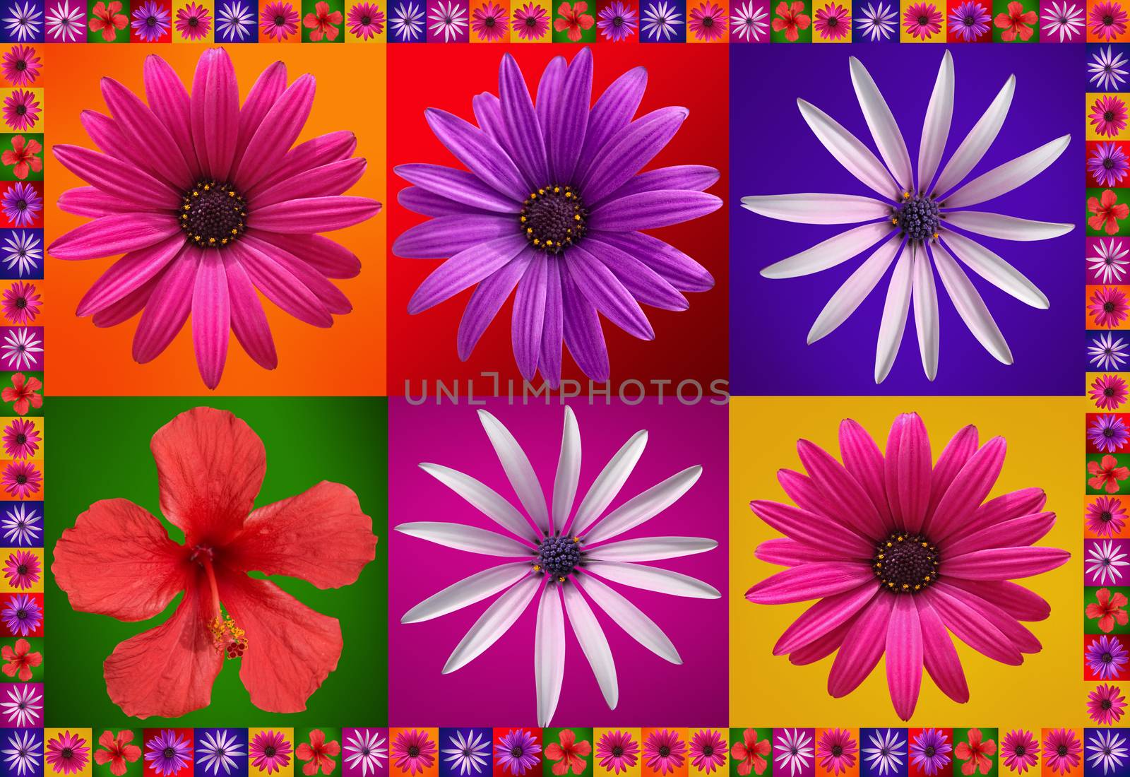beautiful floral frame  by fotoecho