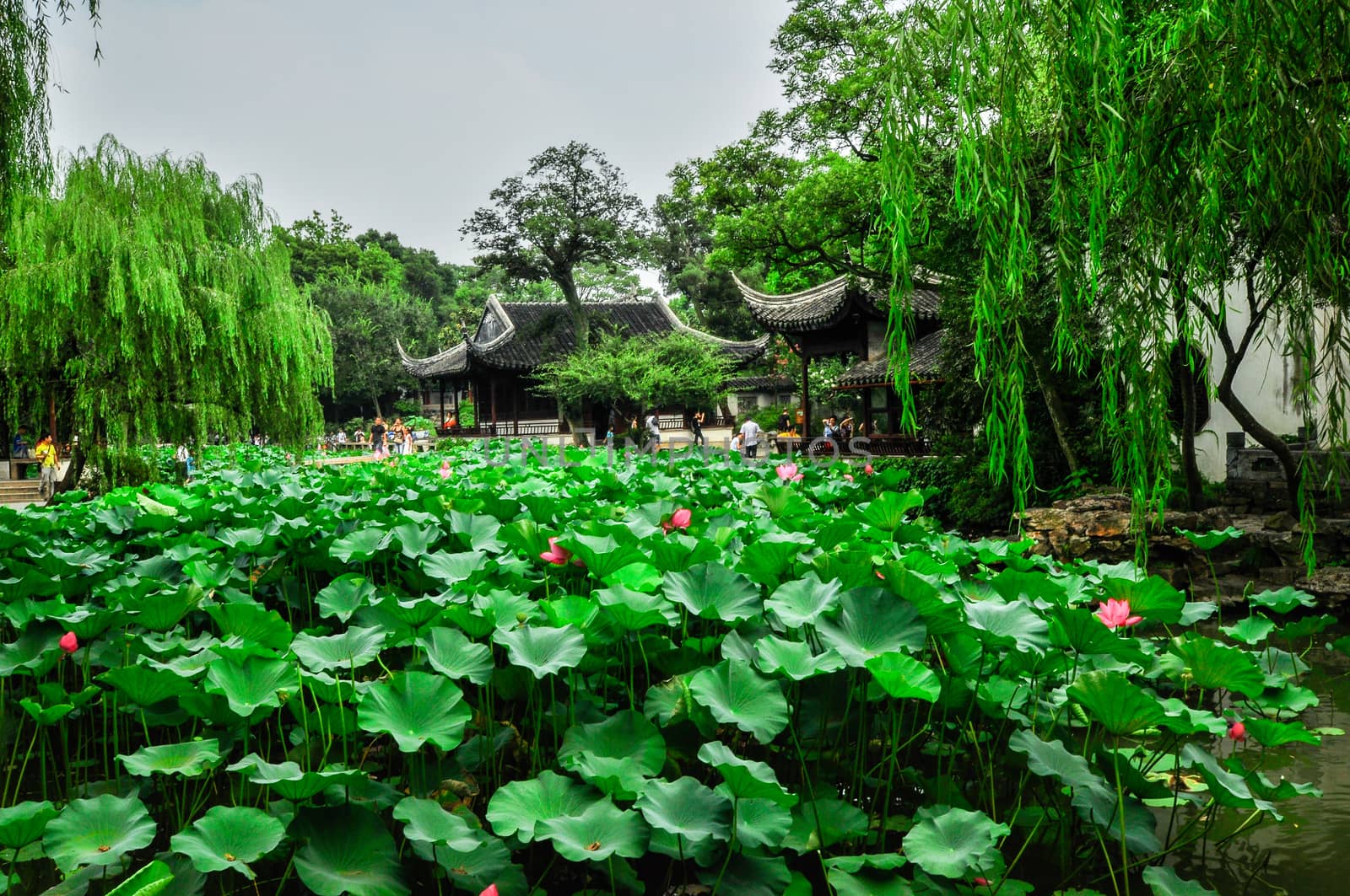 shanghai chinese garden by weltreisendertj