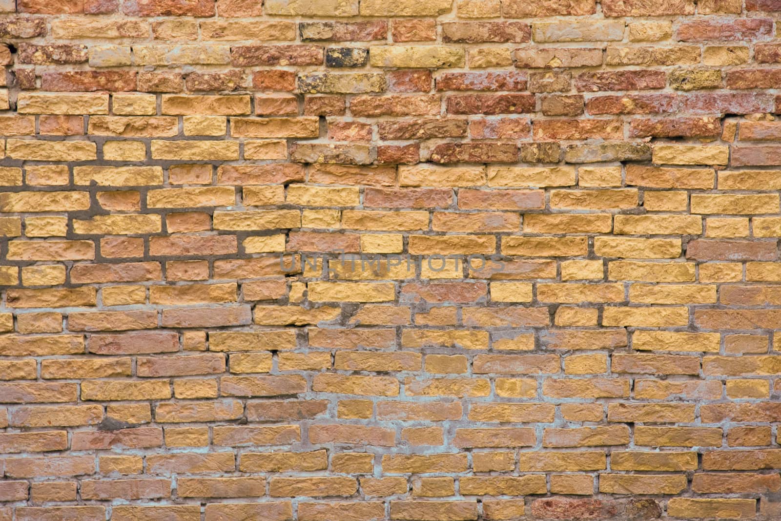 Red brick wall by fotoecho