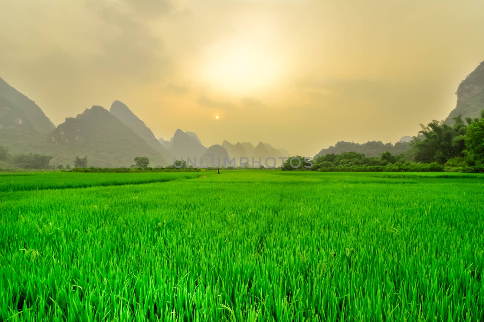 Li river landscape in Yangshuo Guilin by weltreisendertj