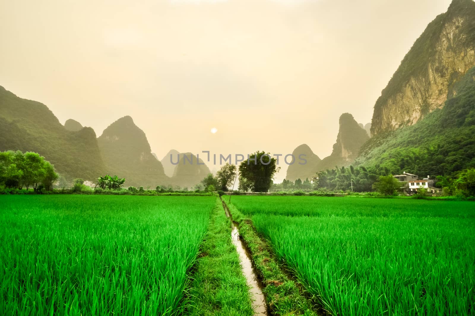 Beautiful Li river side Karst mountain landscape in Yangshuo ricefield Guilin, China