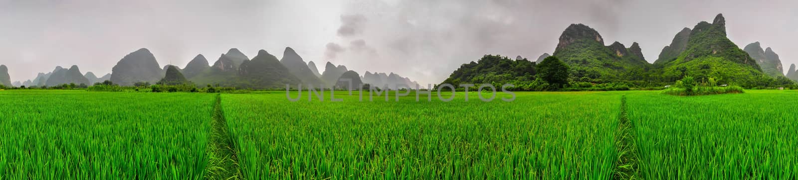 Yangshuo Parorama ricefields, karst mountain landscape and green, guilin, China
