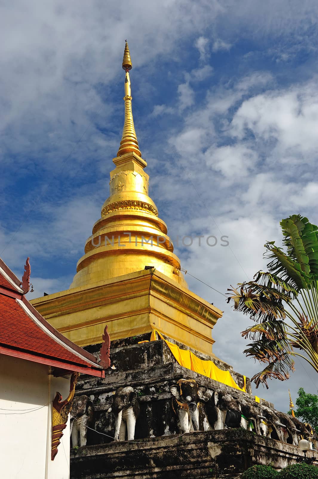 Golden Pagoda and blue sky, Wat Phra Thad Chang Kham, Nan Thaila by think4photop