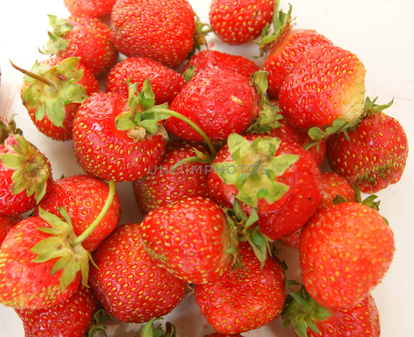 Much ripe berries strawberries.Ripe red berry strawberries