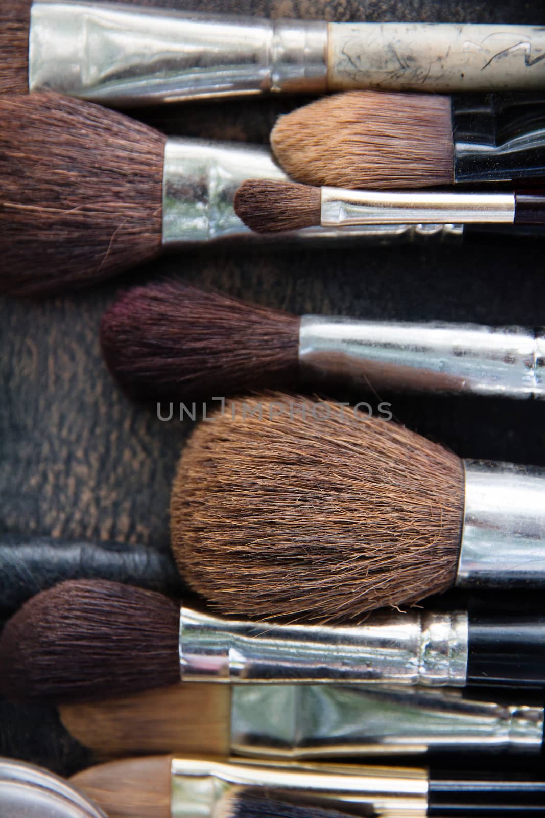 Professional cosmetic brush by ponsulak