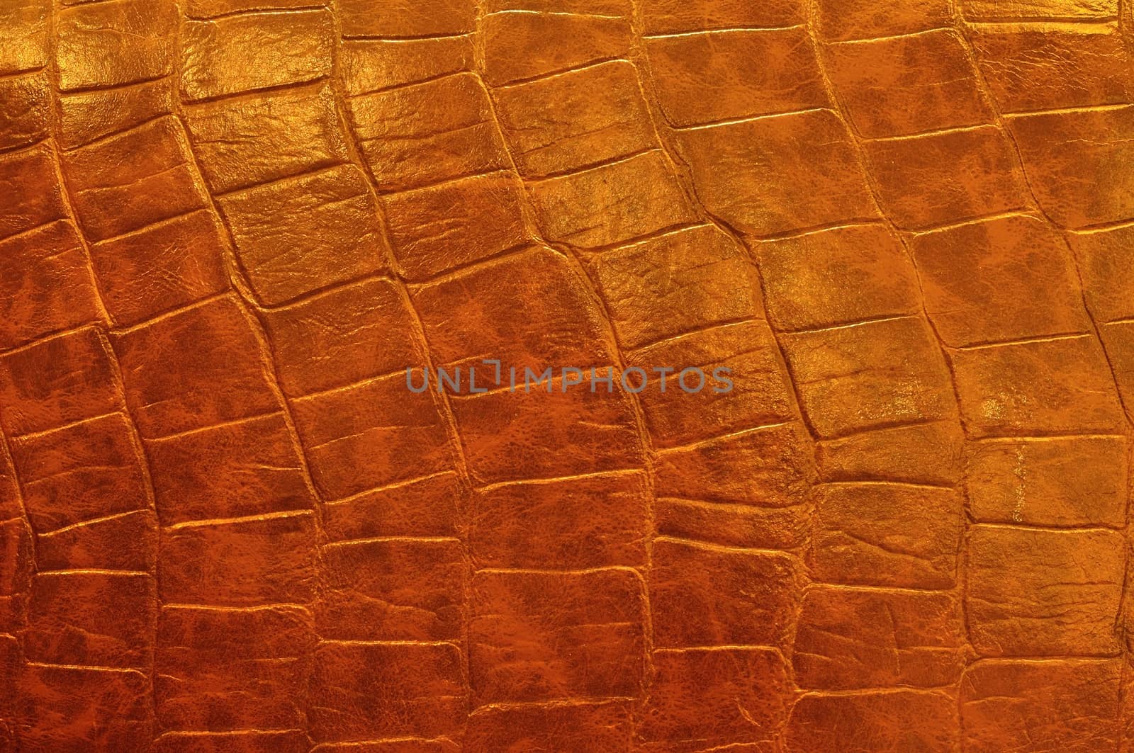 Polish Leather by thampapon