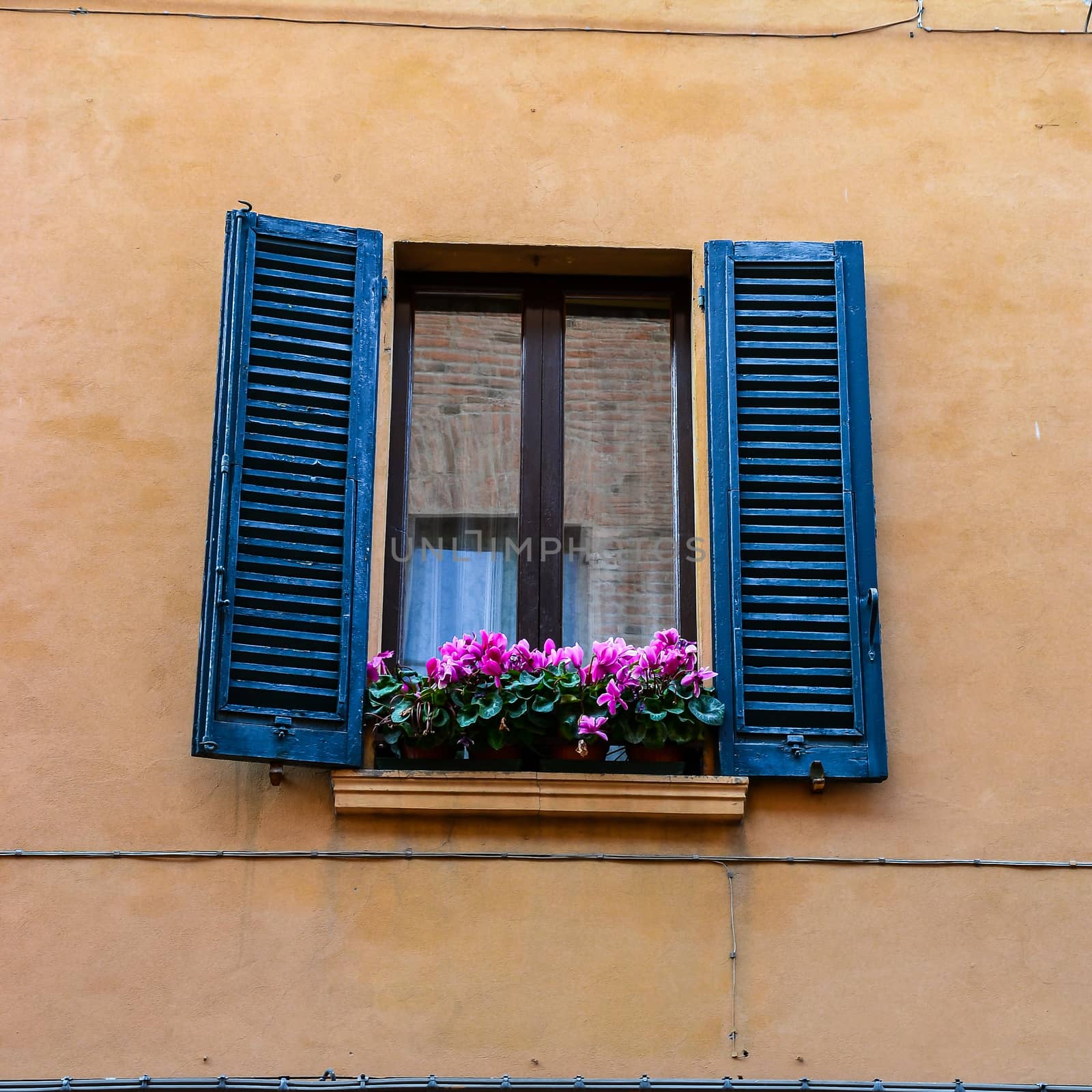 Window of a historic building with purple flowers on the sill