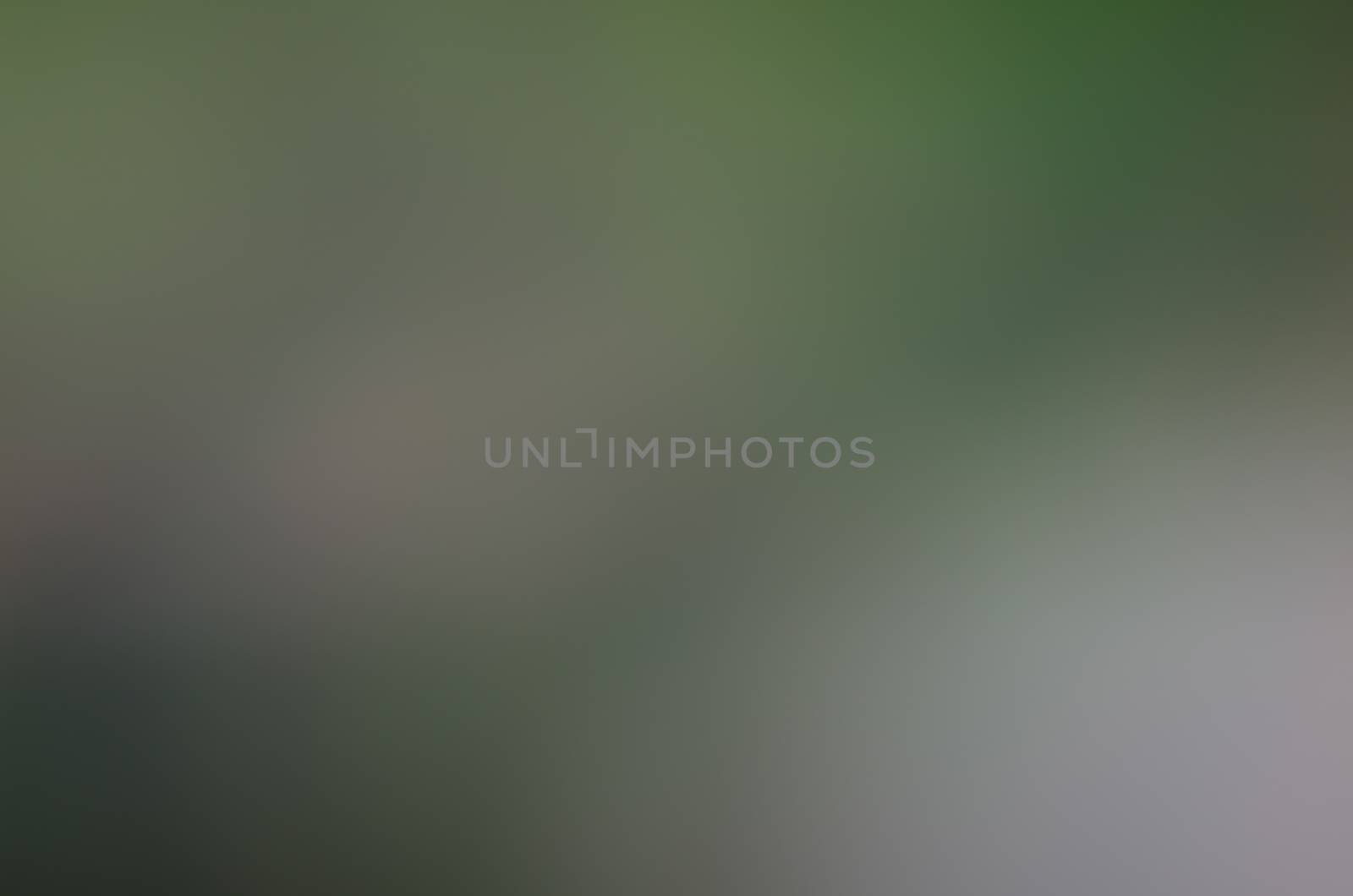 Defocused abstract texture background for your design