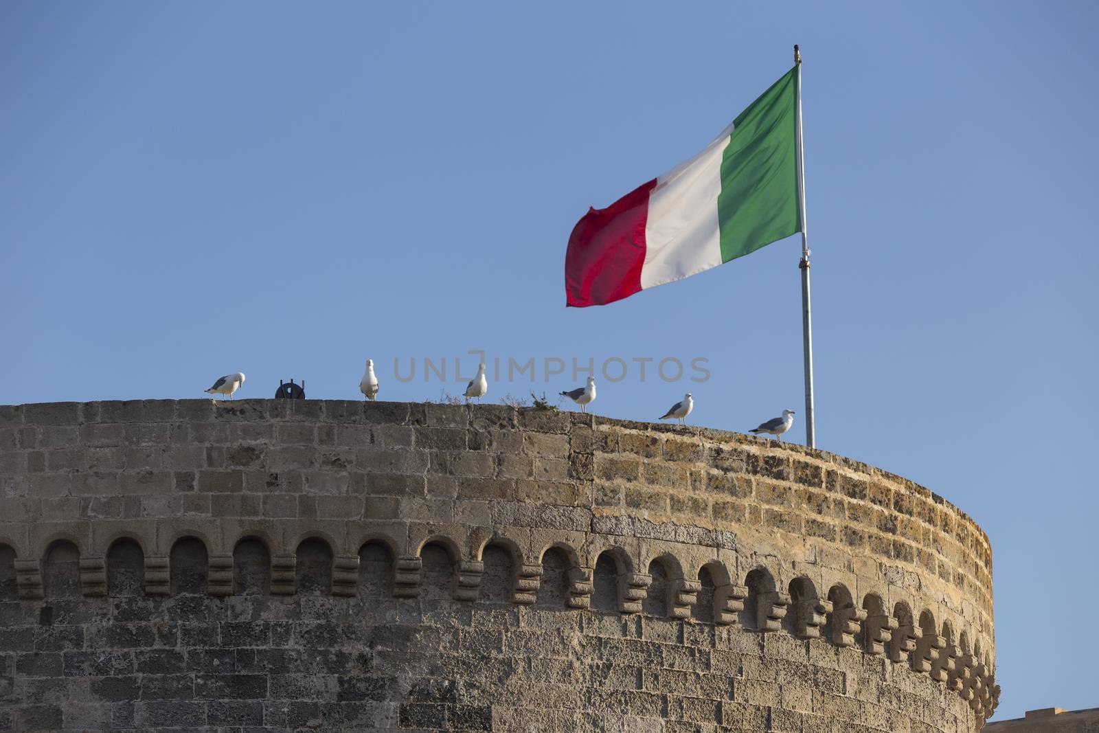 Seagulls (Larinae Rafinesque) standing near Italian flag blowing in the wind: red; white and green on ancient tower in Gallipoli (Le) in the Southern Italy