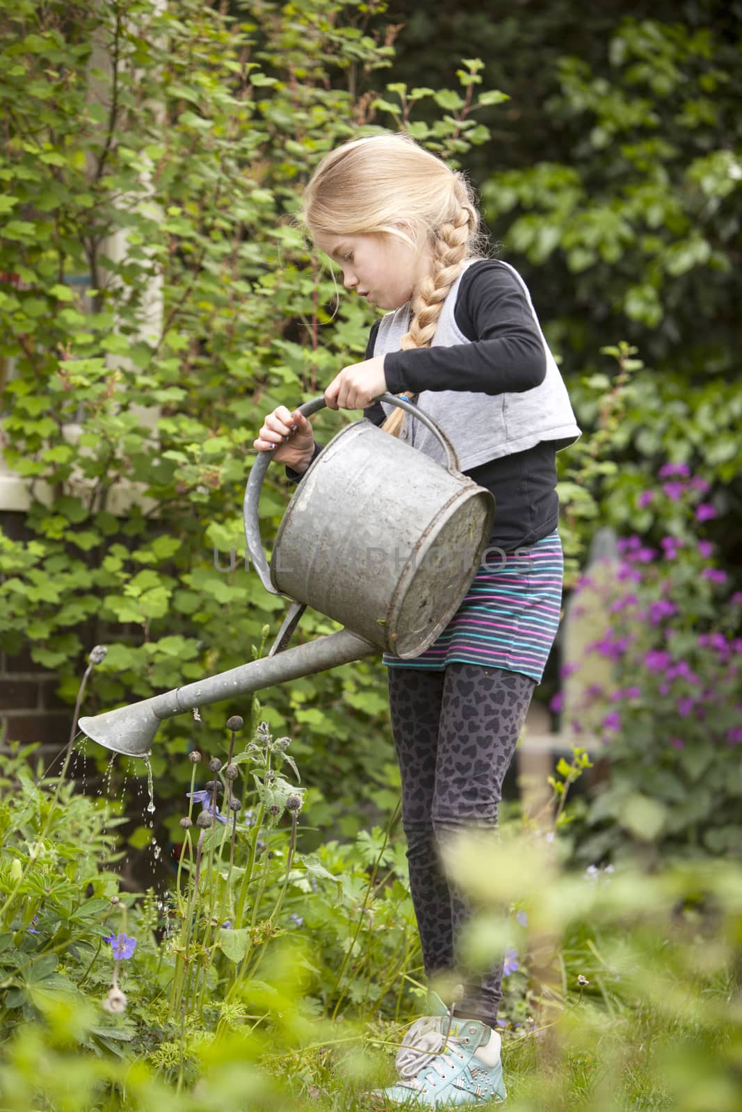 young girl in garden watering the plants by ahavelaar