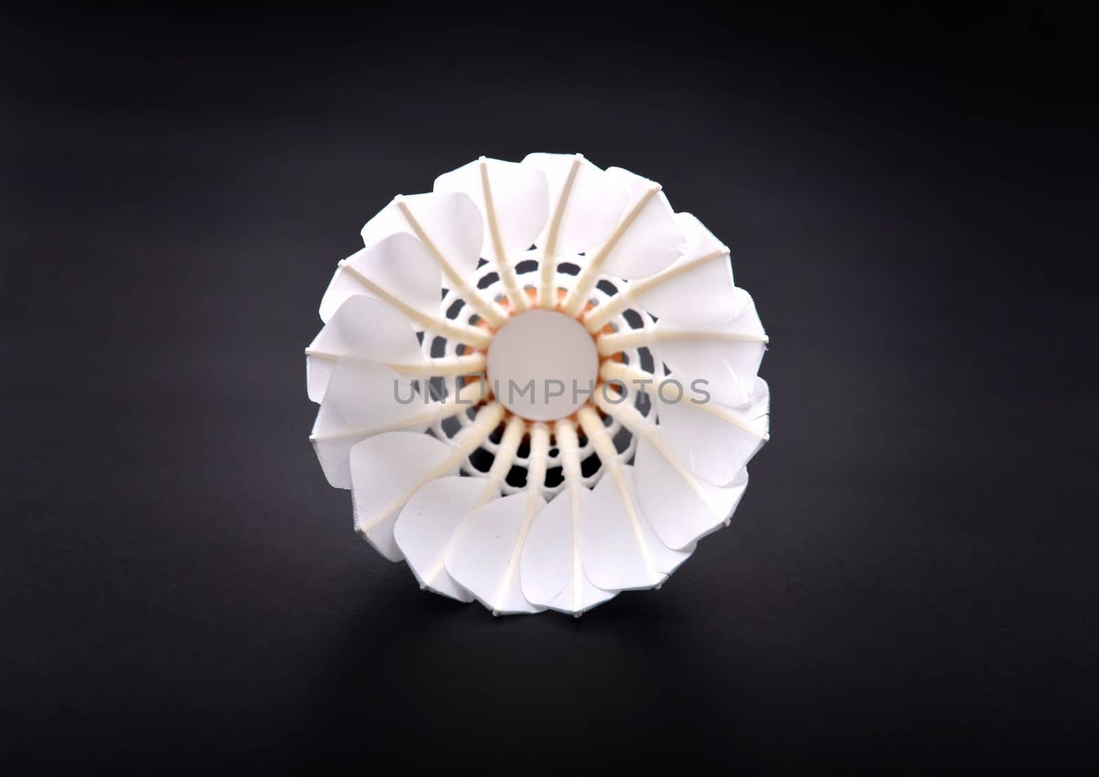 new shuttlecock on dark floor