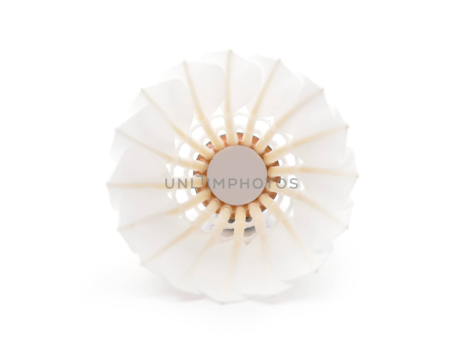 new shuttlecock isolated on a white background