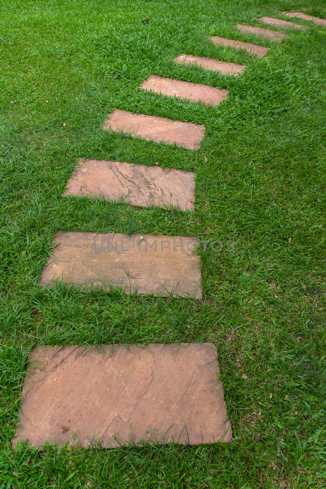 Stone sorted into walkway on the green grass