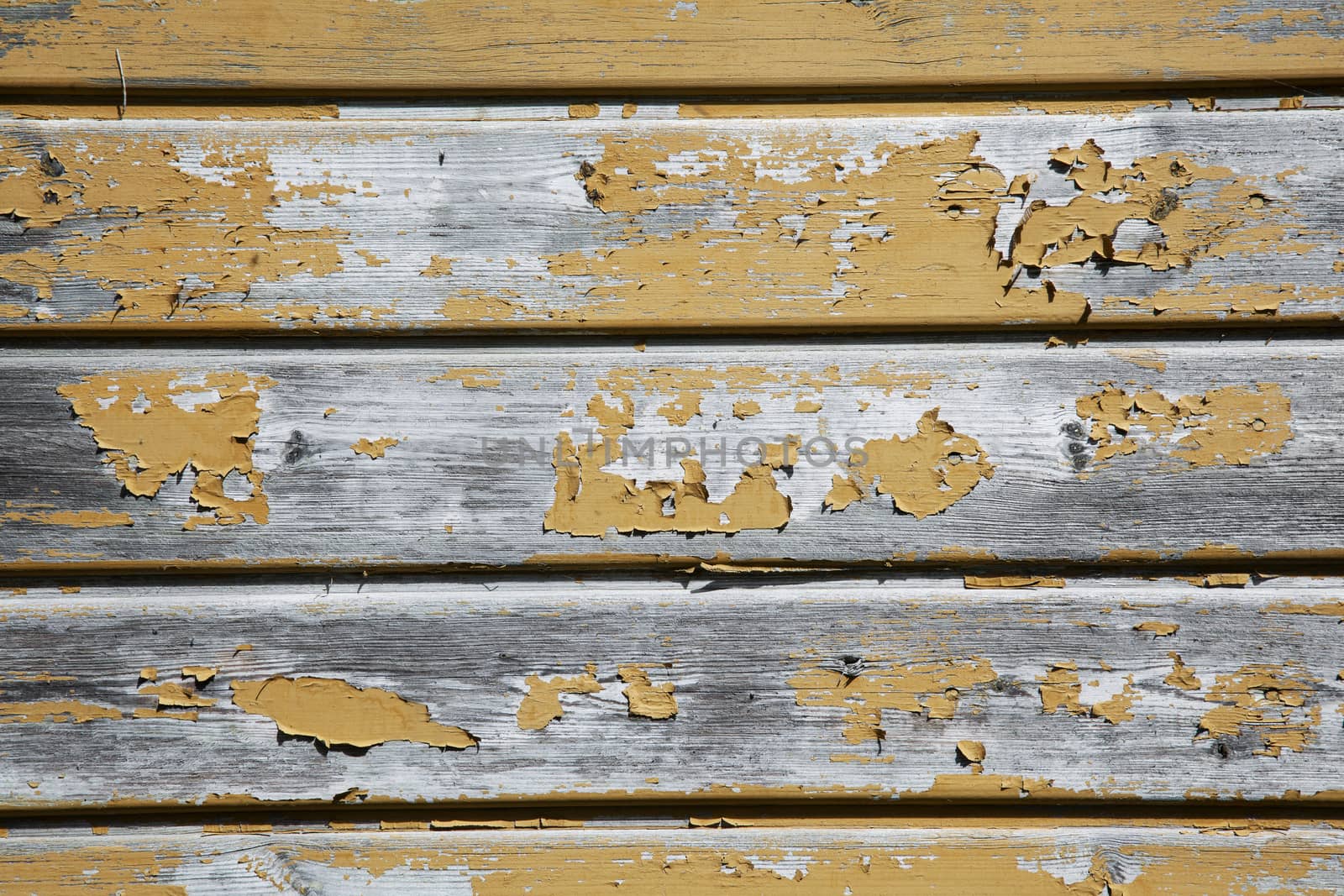 horizontal picture of old grey horizontal planks with peeling yellow ochre paint