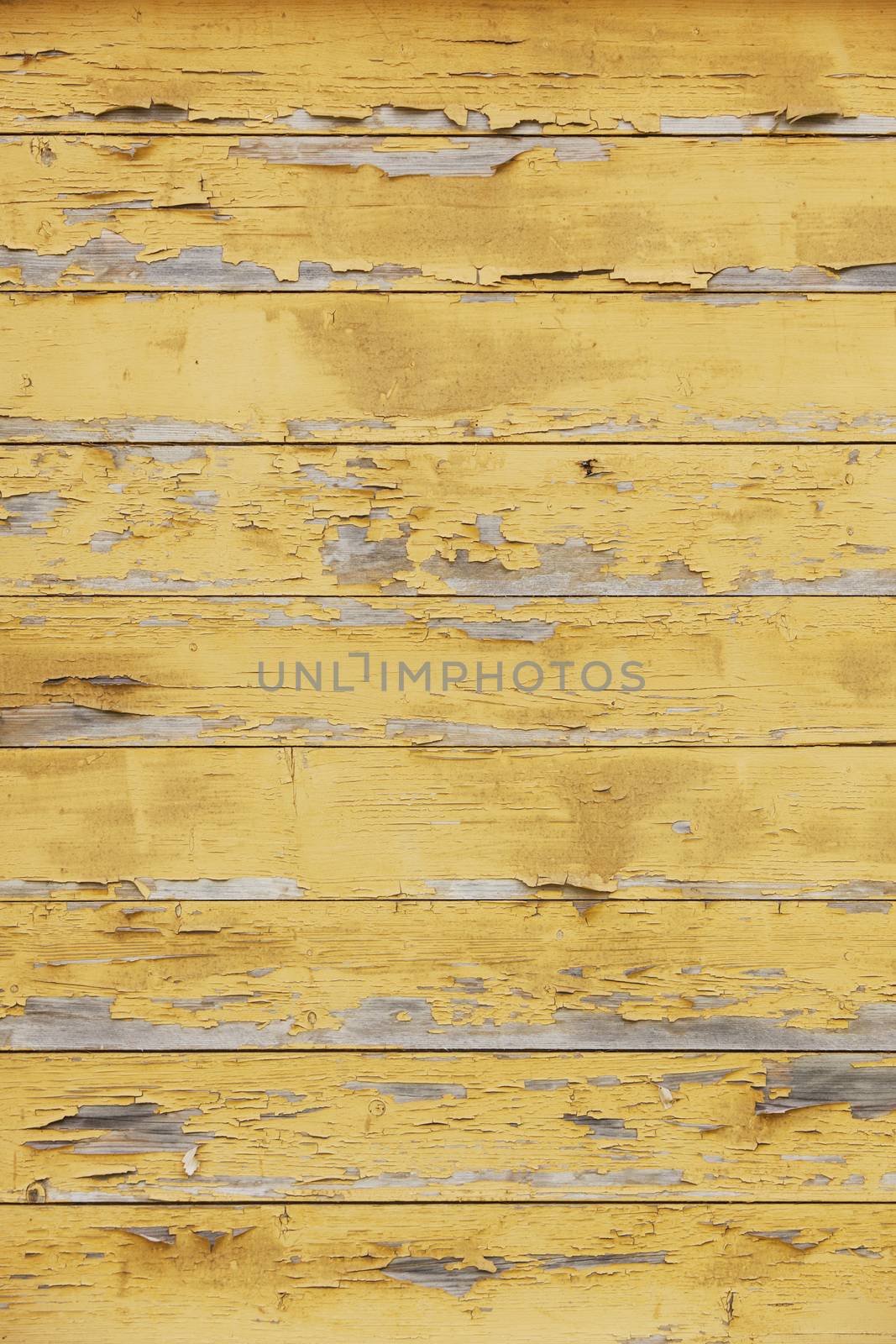 old planks with peeling yellow paint by ahavelaar