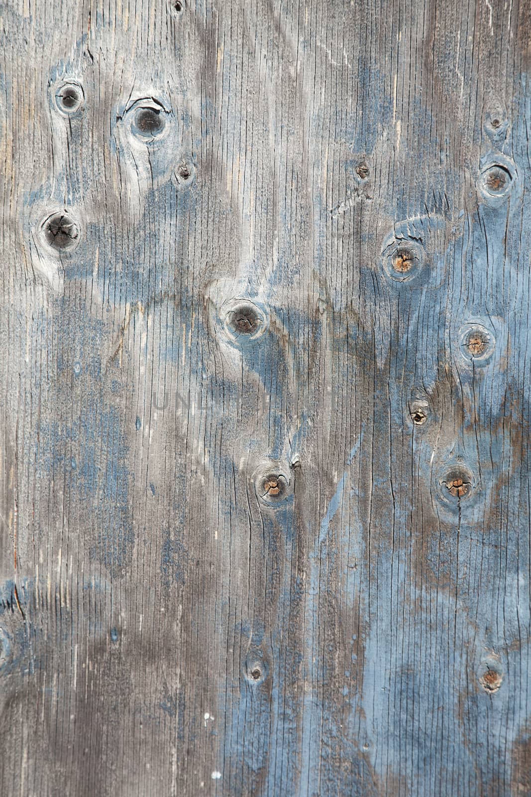 grey wooden board with knots and blue paint by ahavelaar