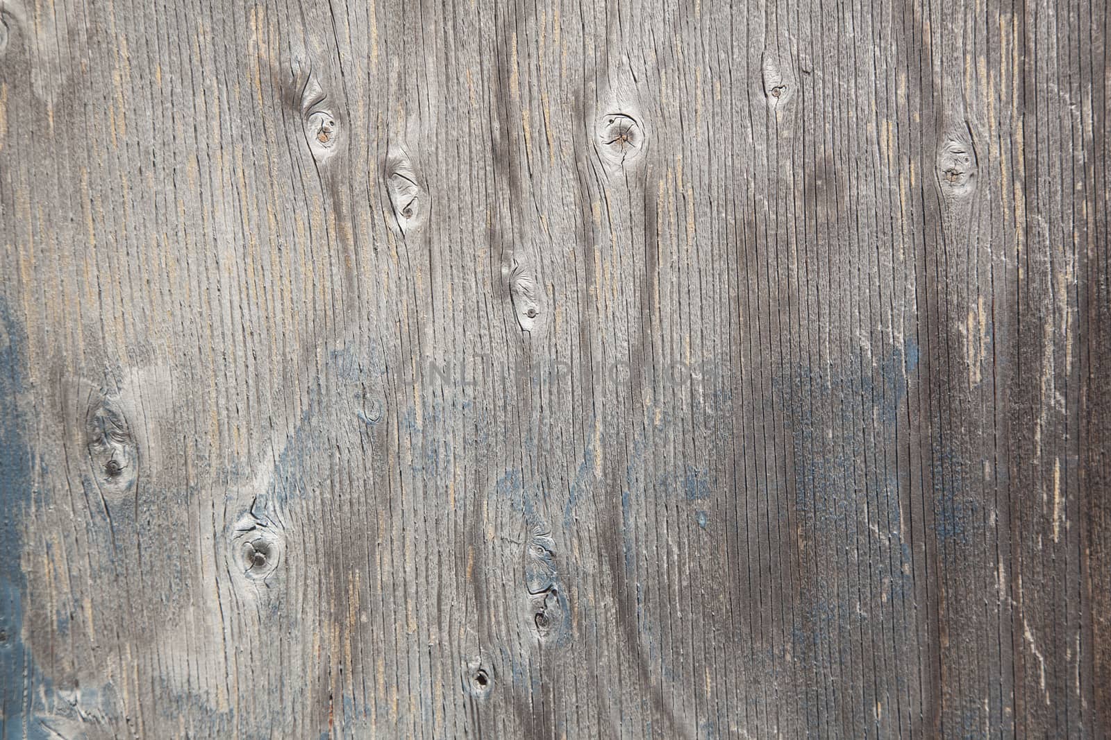 grey wood with knots and remnants of blue paint