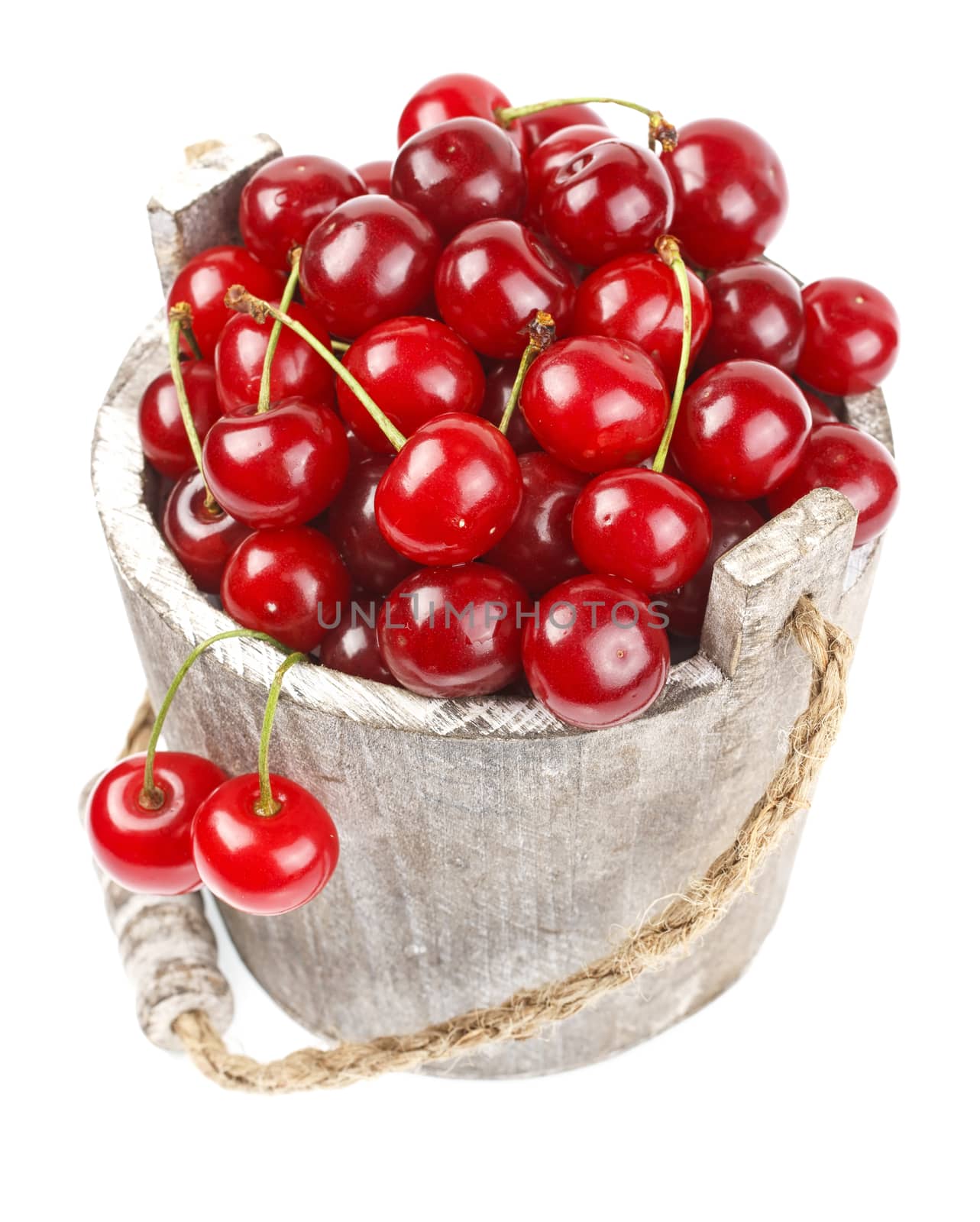 Fresh cherries with water drops in a wood bucket