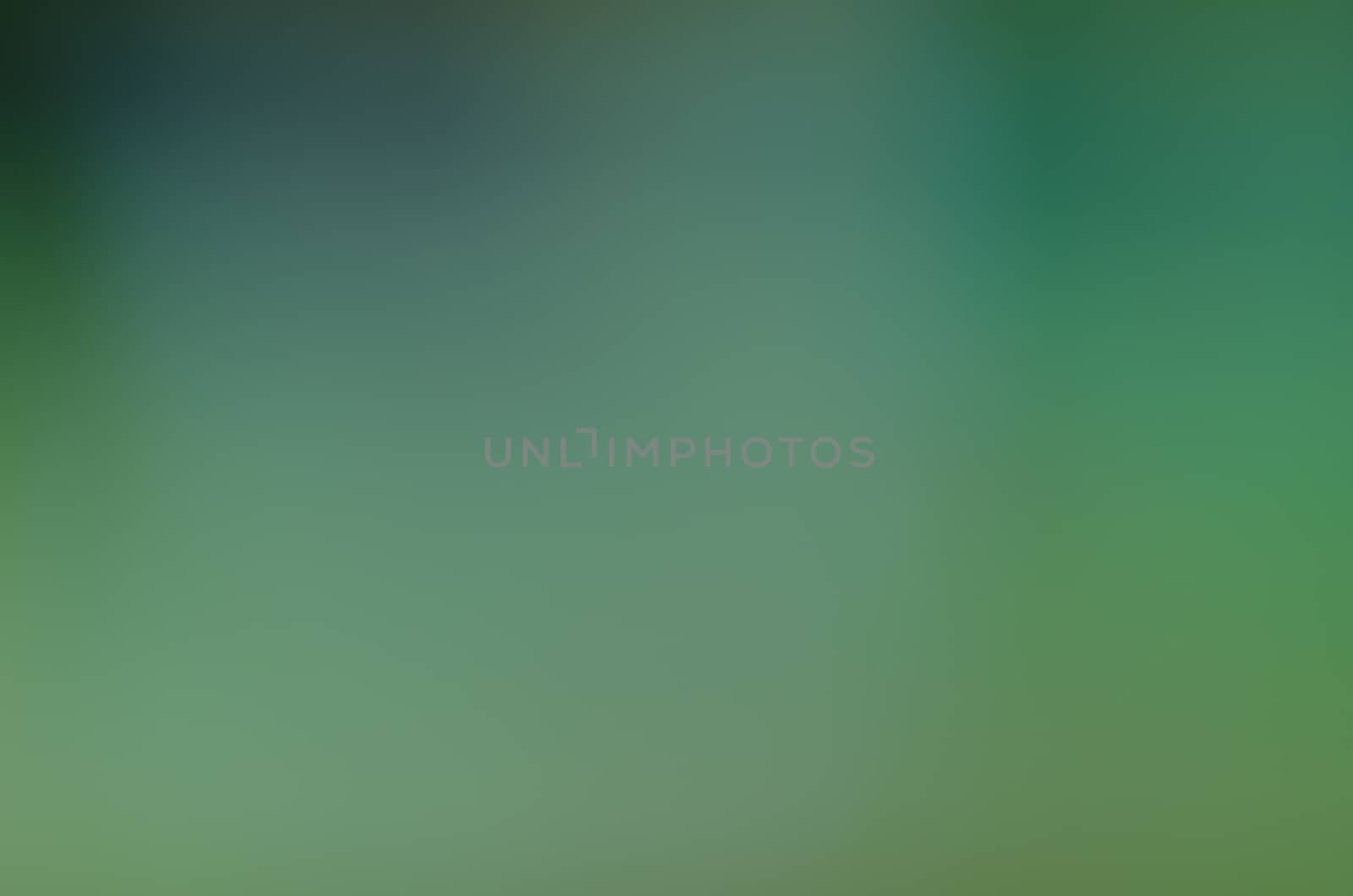 Defocused abstract texture background for your design