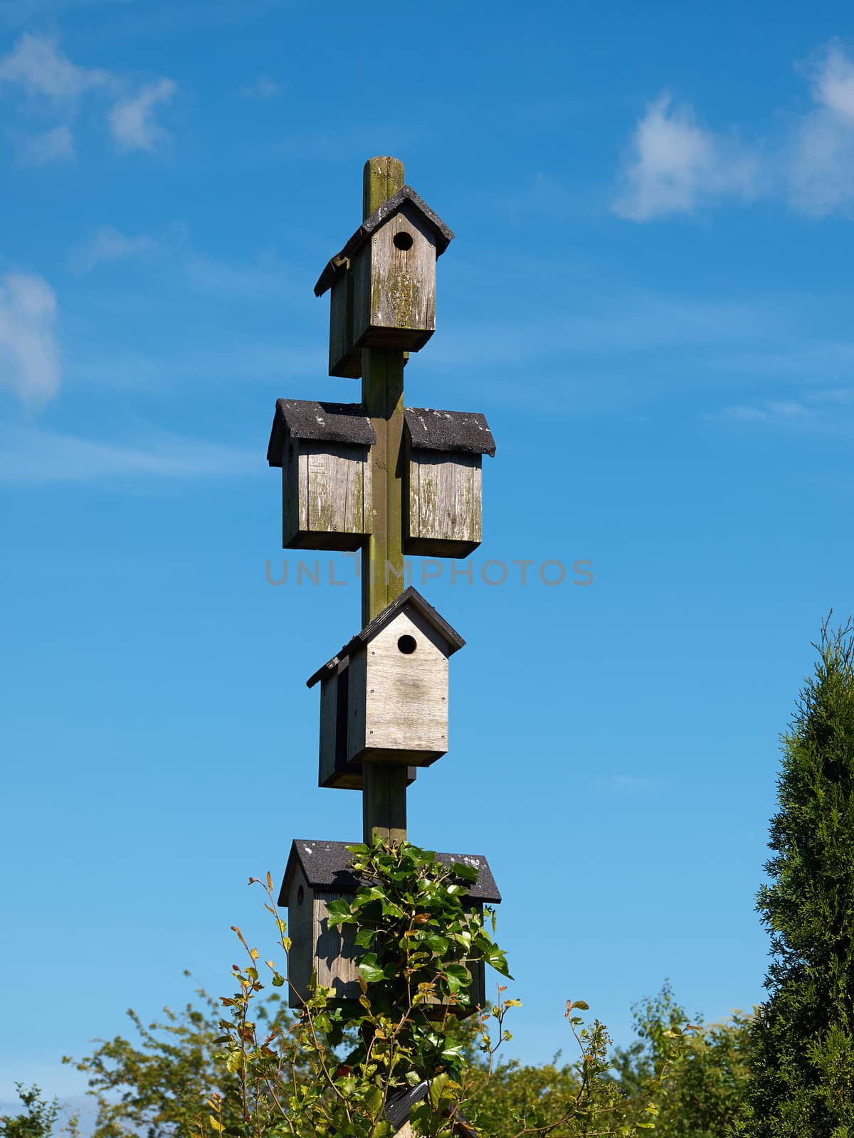 Wooden bird house with clear blue sky background vertical image 