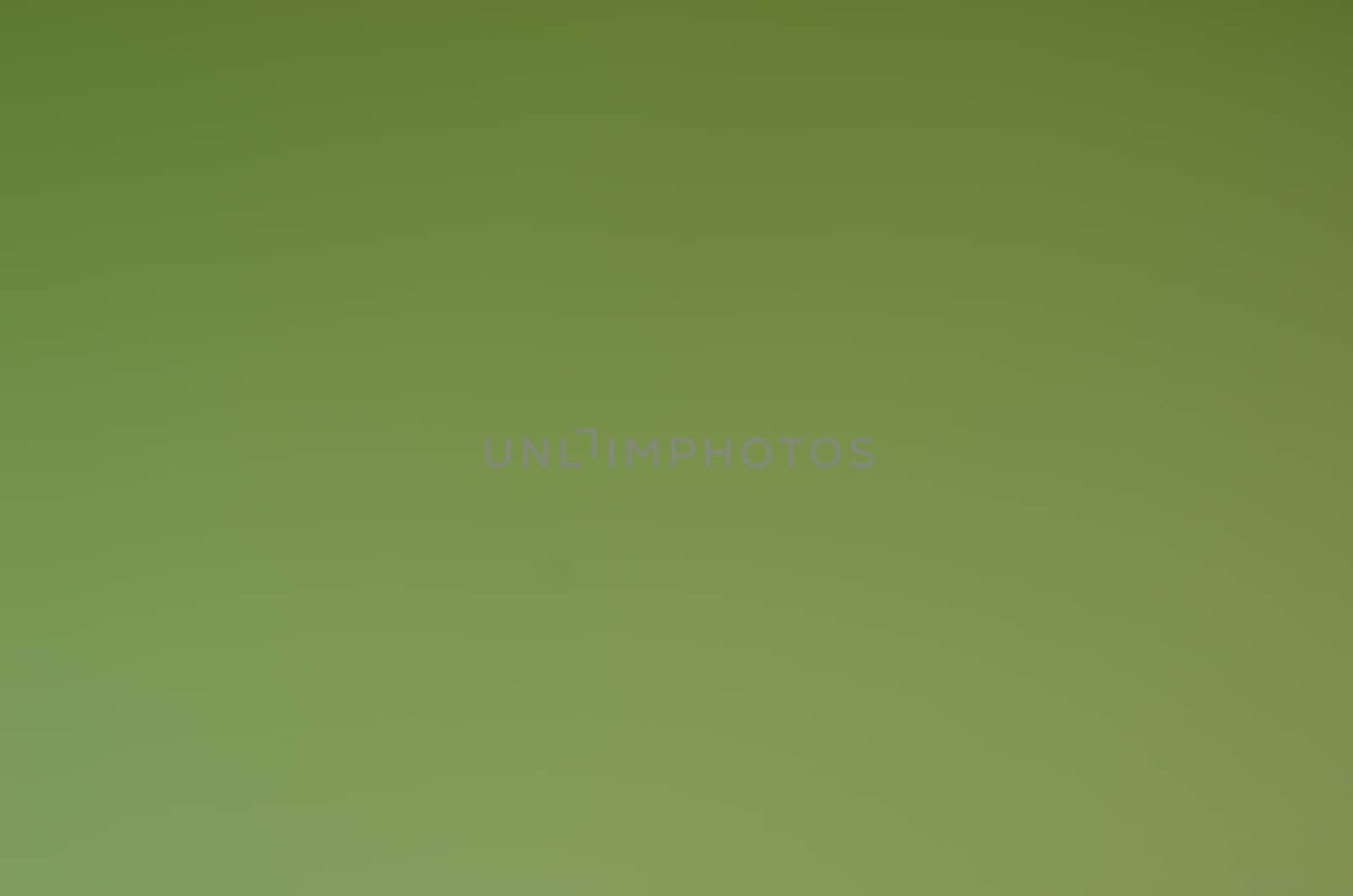 Defocused abstract texture background for your design