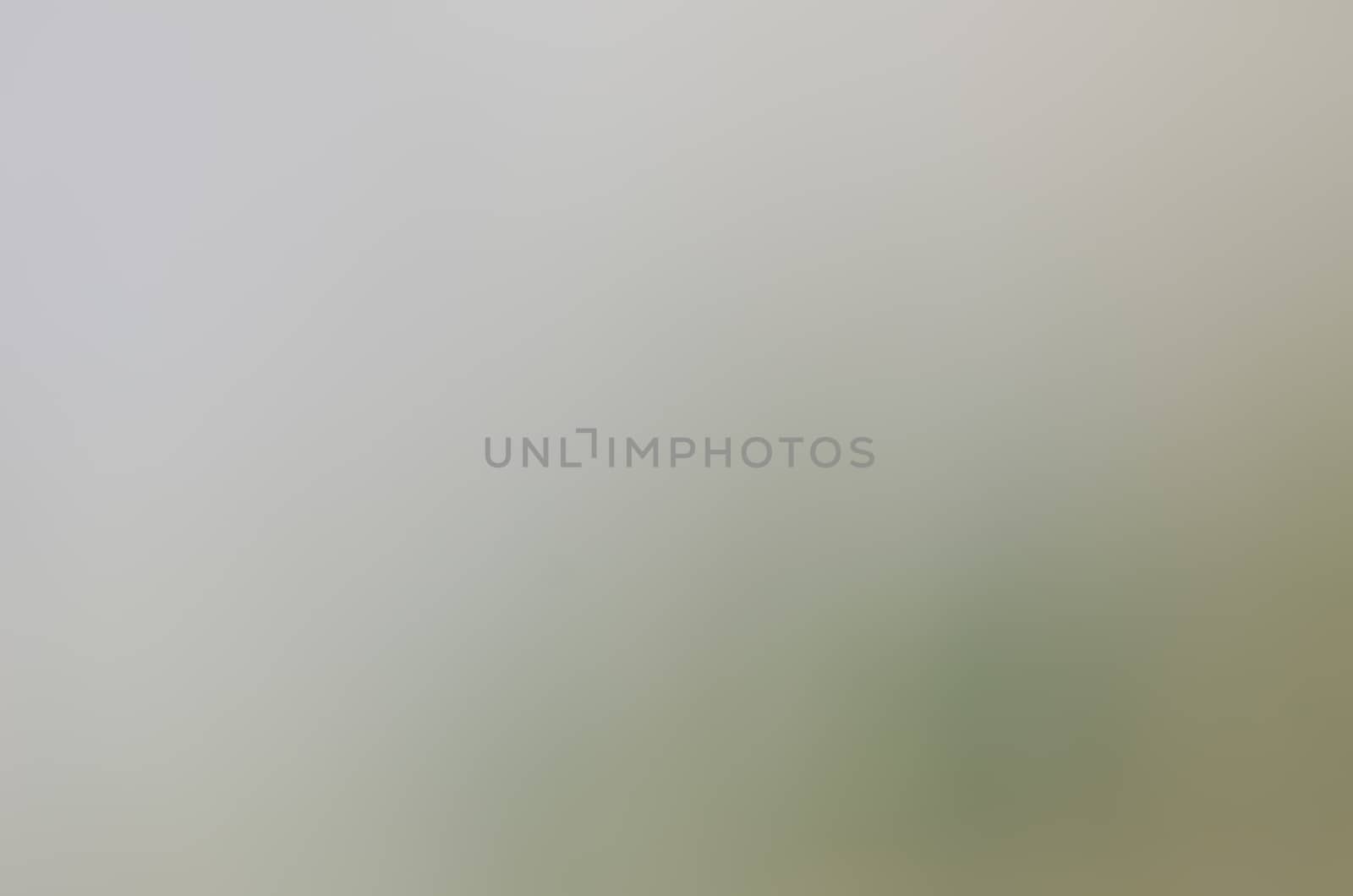 Defocused abstract texture background for your design
