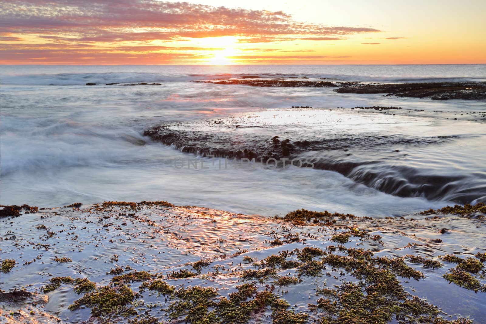 Sunrise from the edge of Long Reef, Collaroy  NSW Australia