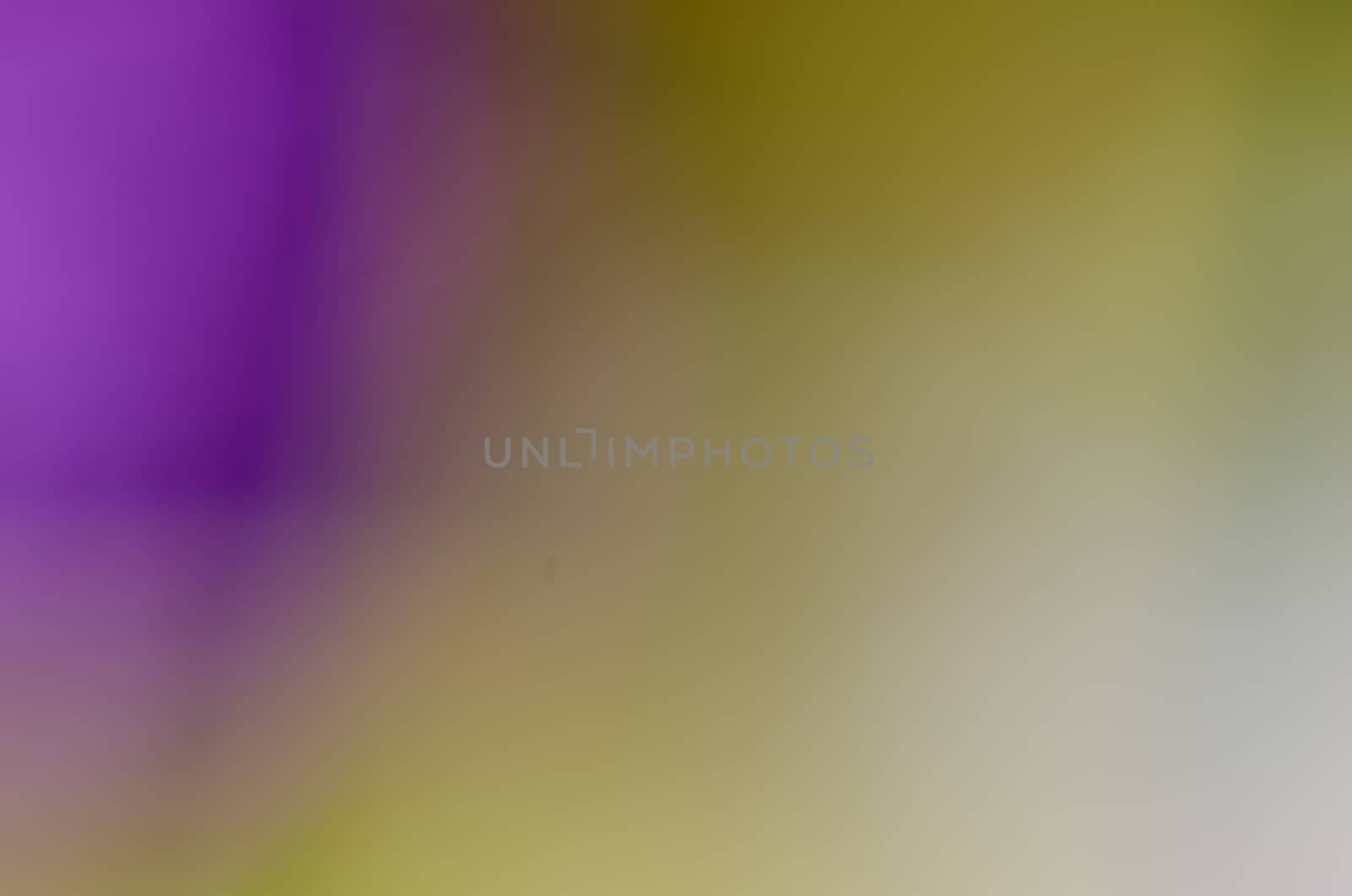 Defocused abstract texture background for your design