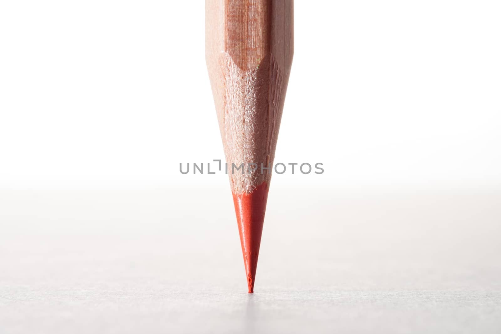 close up of a orange pencil head