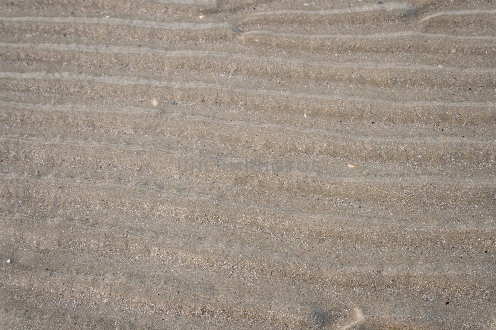beach sand background whit ripples from water