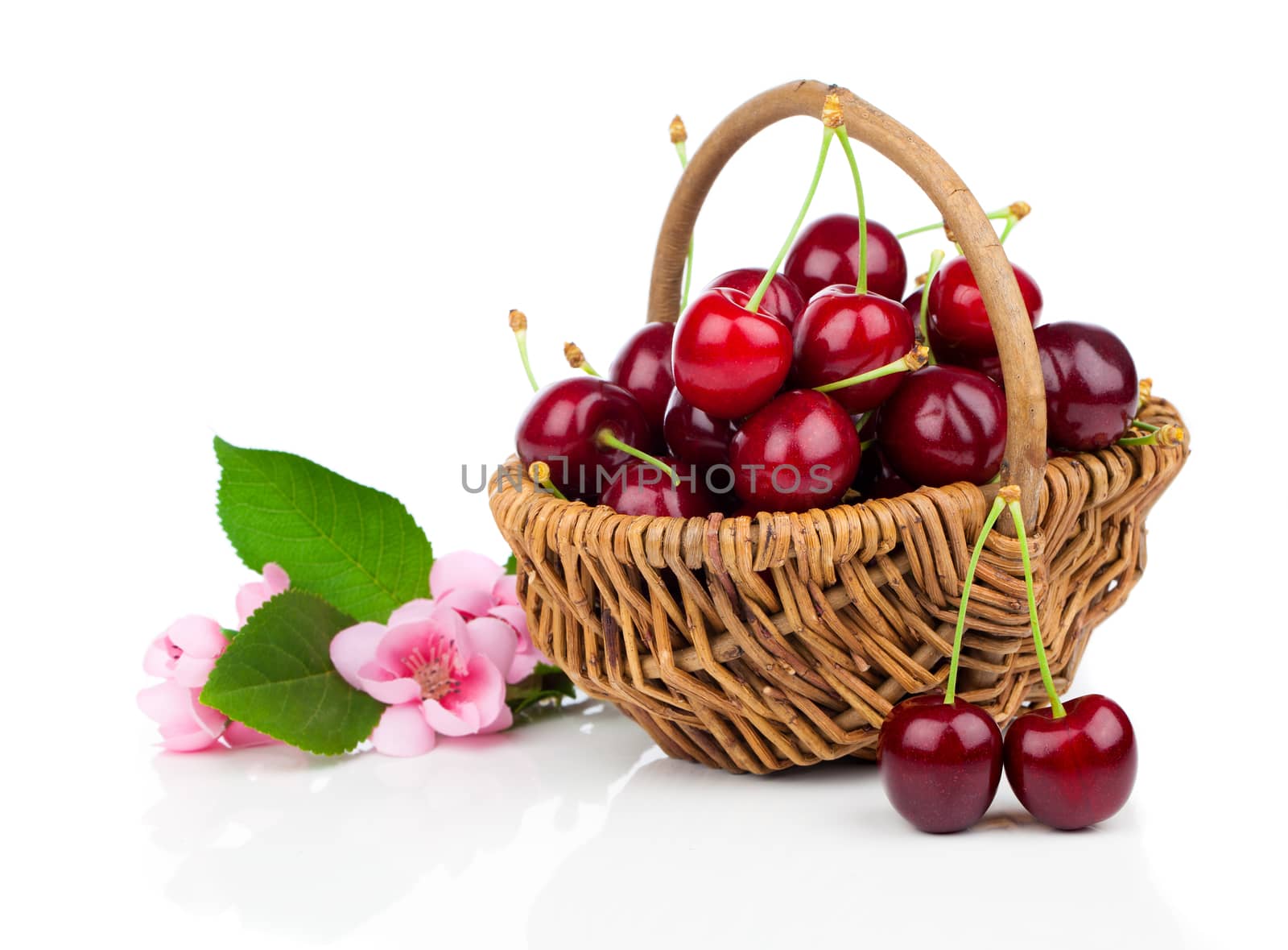 fresh cherries in a wicker basket  isolated on white background