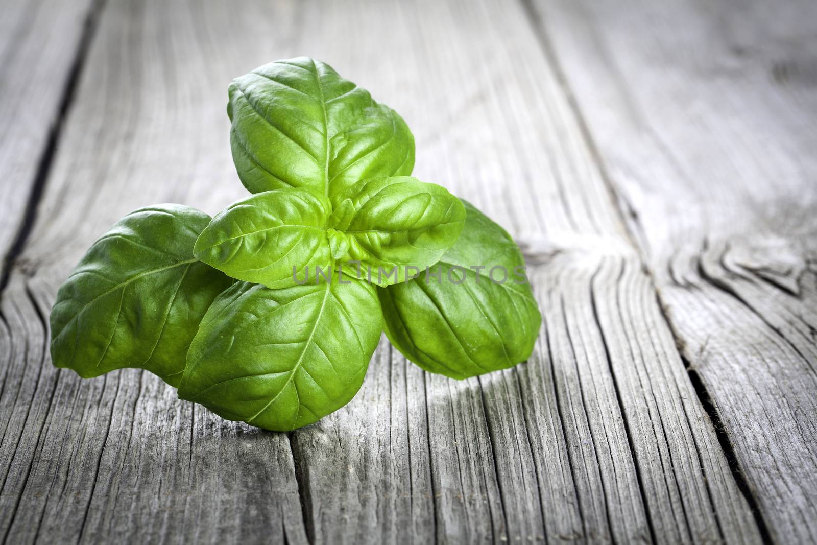 Basil leaves on a wooden table