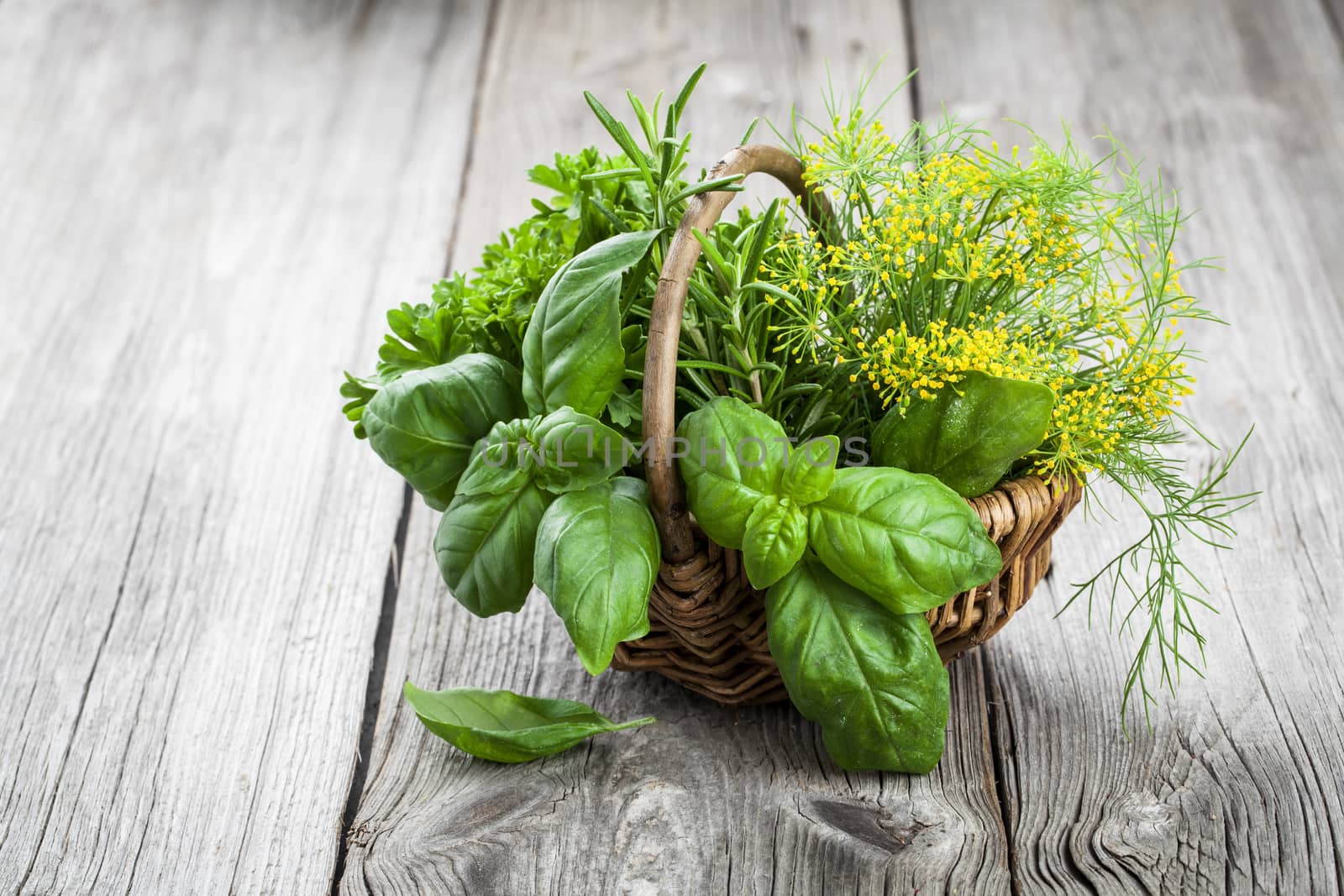 Basket of freshly picked herbs including basil, rosemary, dill and parsley.  on wooden background
