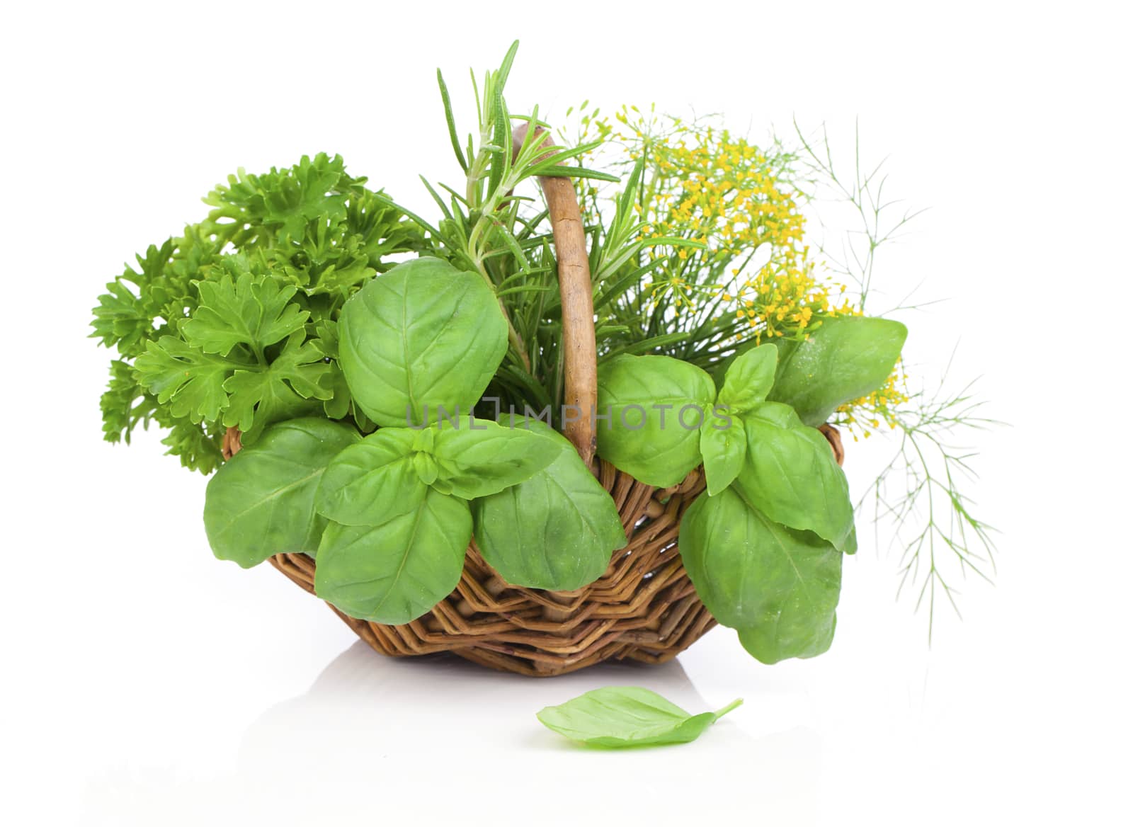 Wicker basket with fresh herbs - basil, rosemary, dill, parsley. on white background