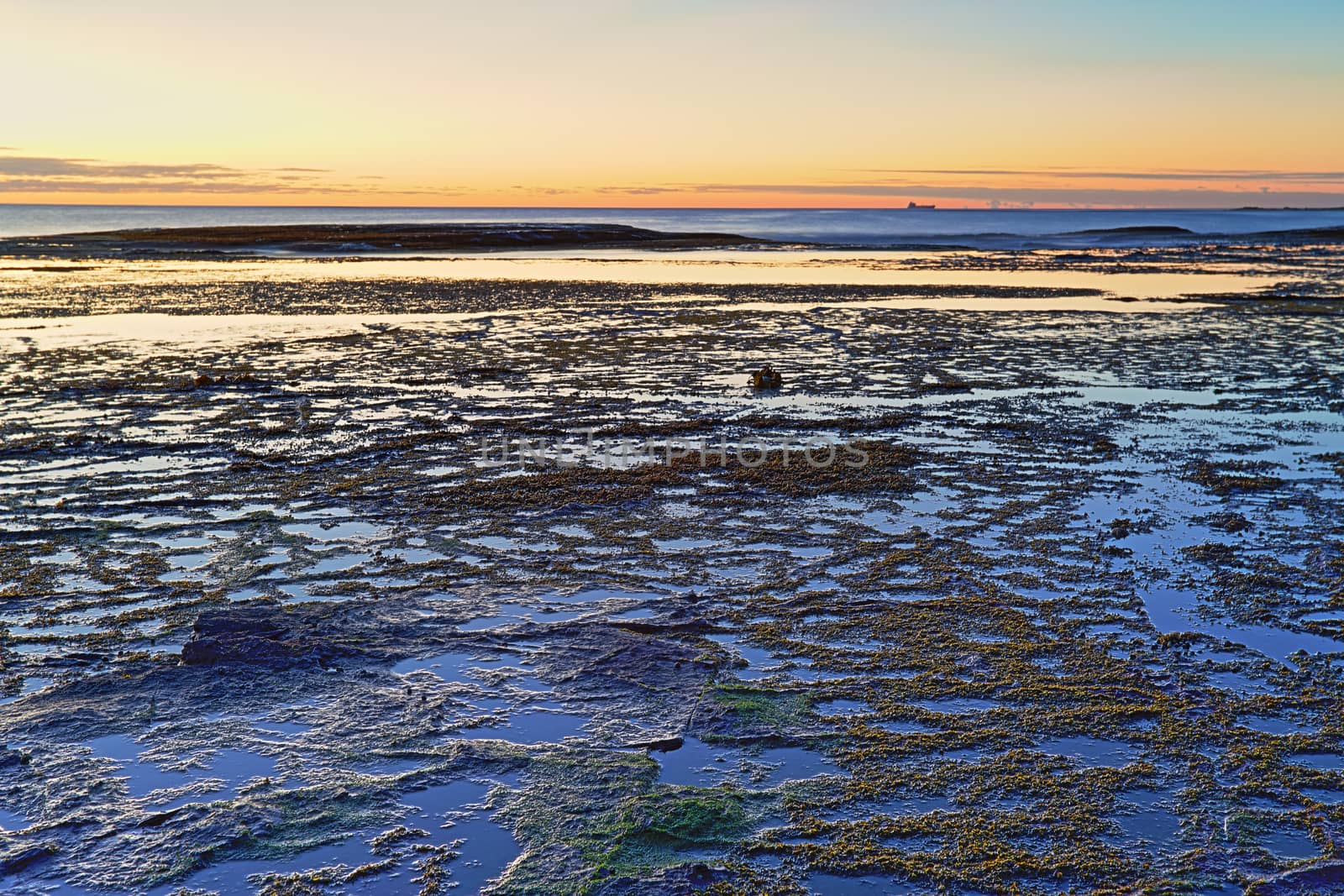 Long Reef patterns during low tide just before the sunrise.  Northern beaches, NSW, Australia