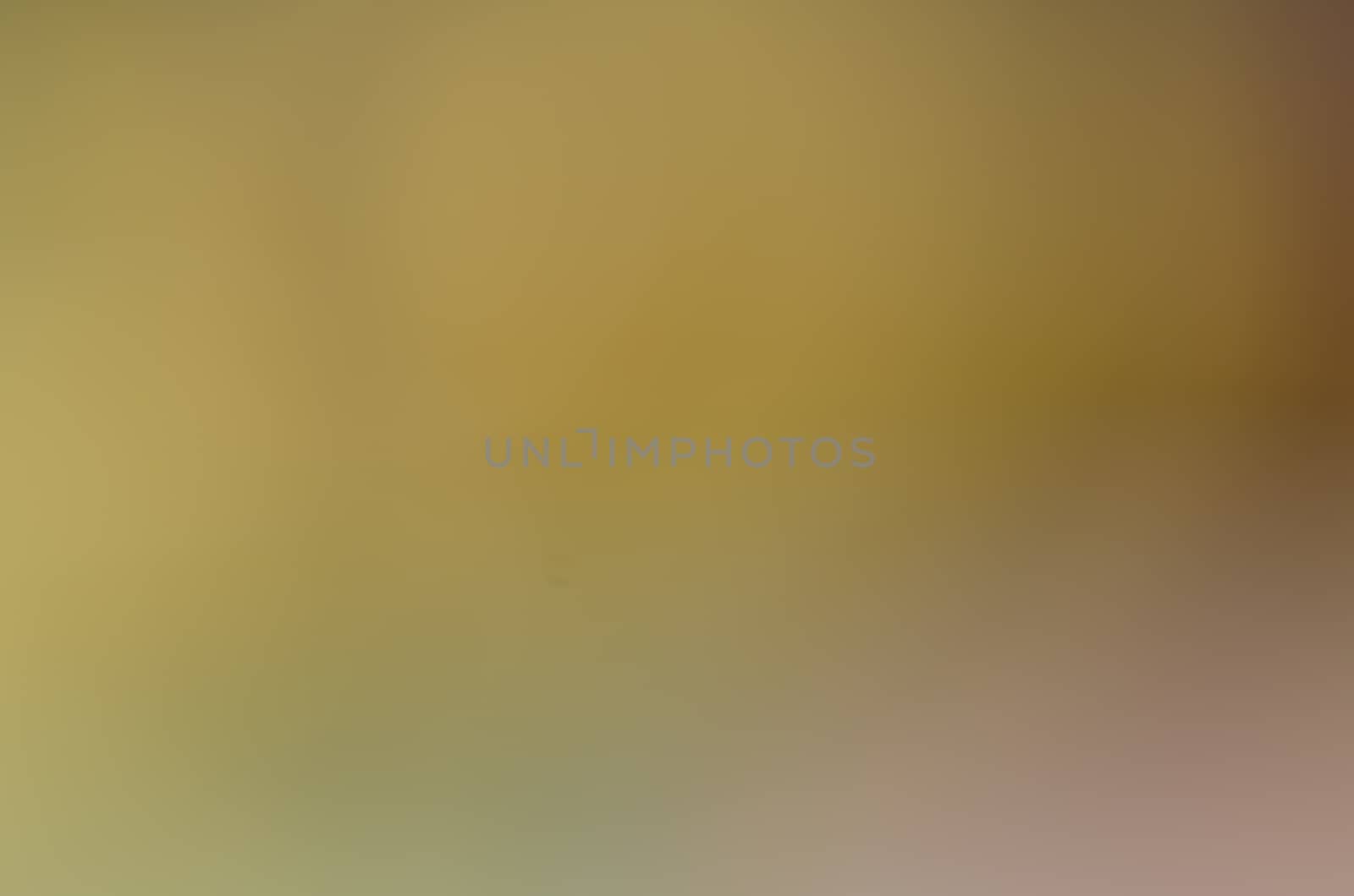 Defocused abstract texture background for your design