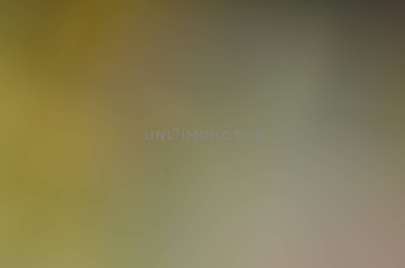 Defocused abstract texture background for your design