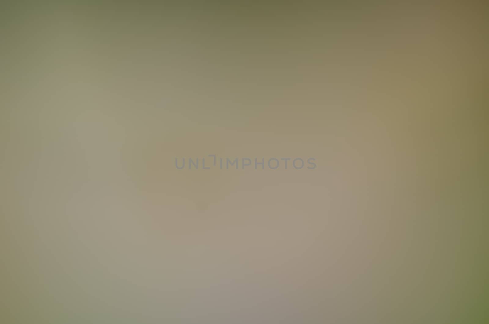 Defocused abstract texture background for your design