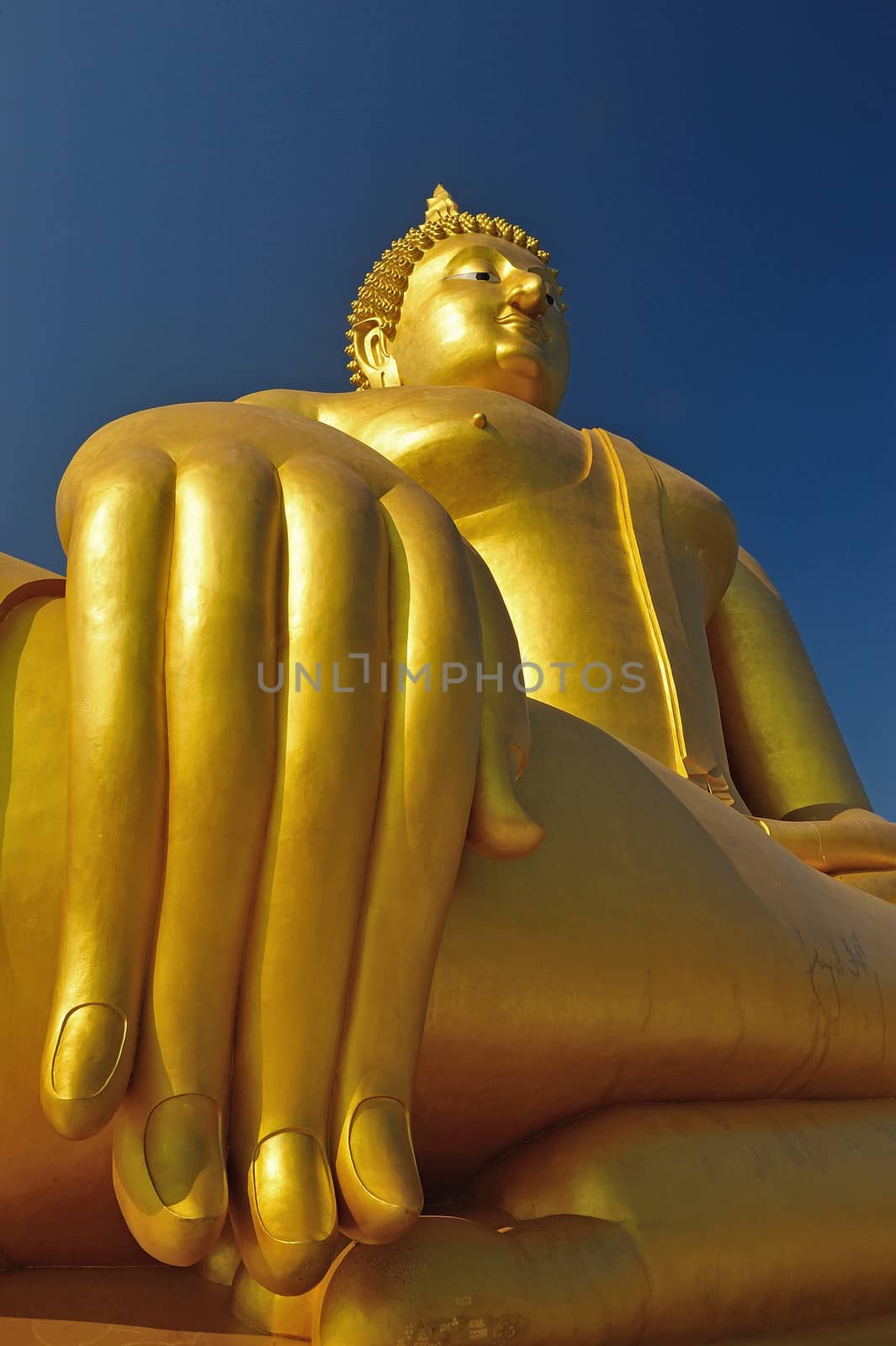 Golden Buddha statue at Wat Muang in Angthong, Thailand by think4photop