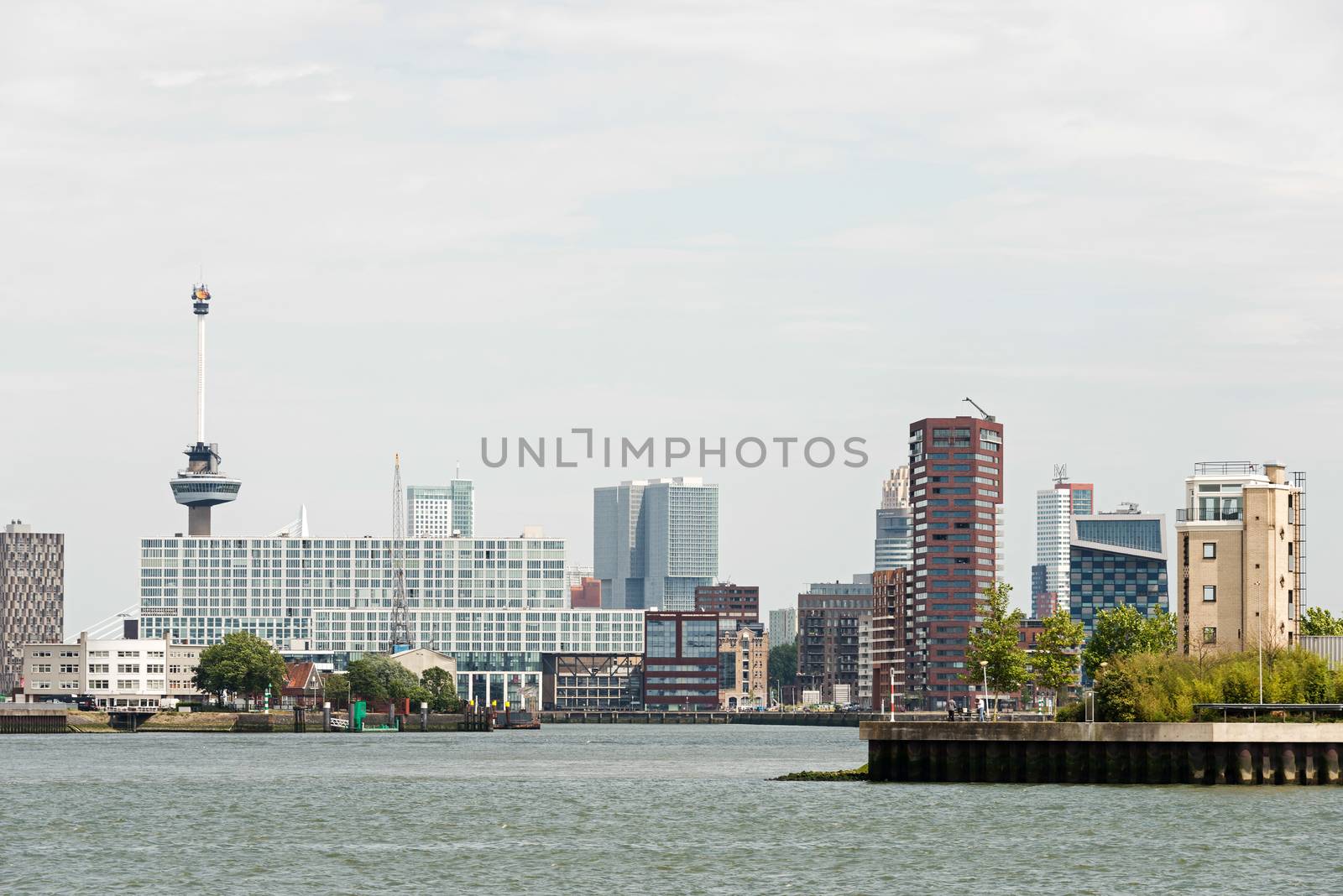 rotterdam dutch city skyline with euromast harbor offices and houses