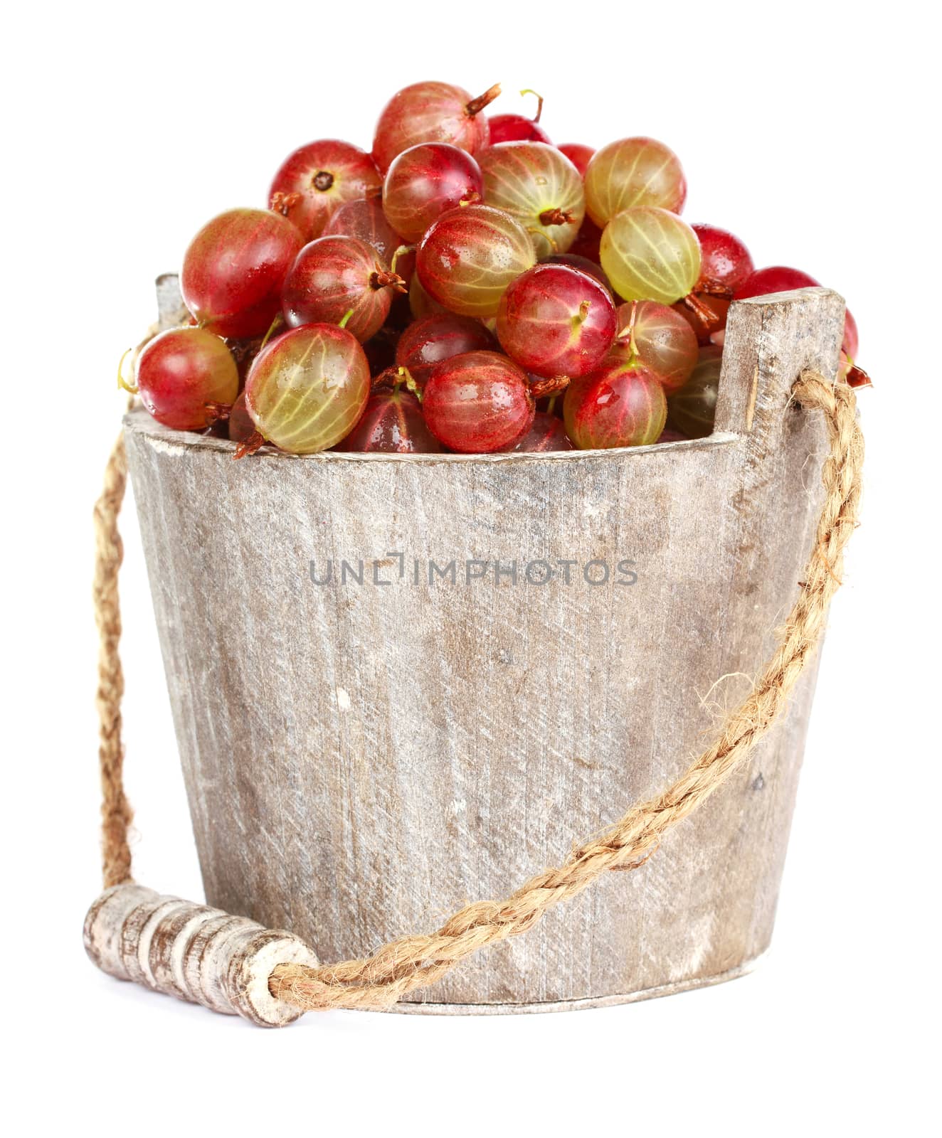 Ripe gooseberry in wooden bucket on white background by Bedolaga