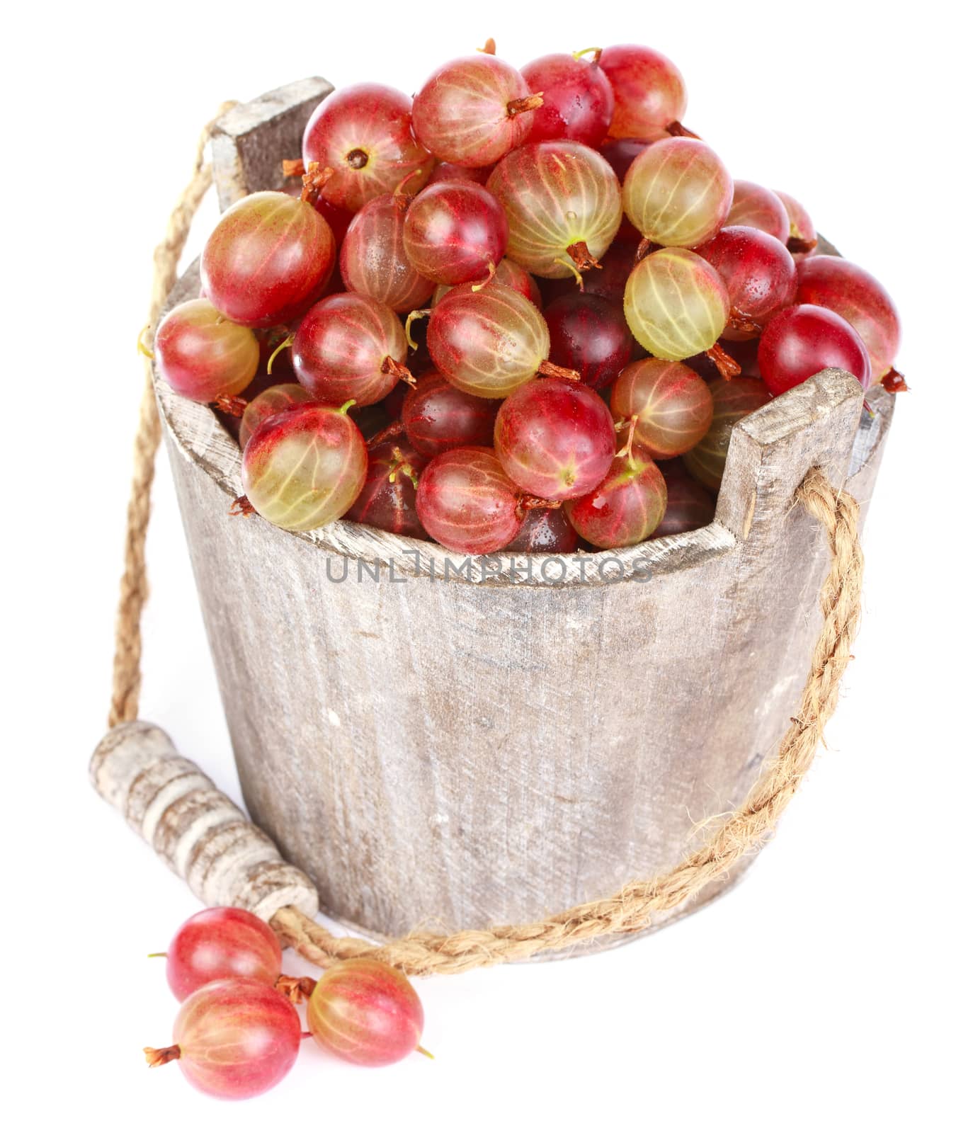Ripe gooseberry in wooden bucket on white background