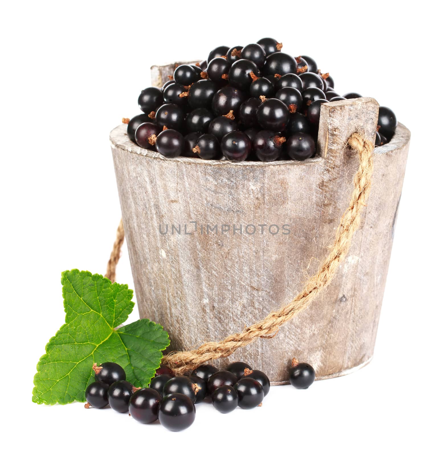 Black currant in a wooden bucket on white background