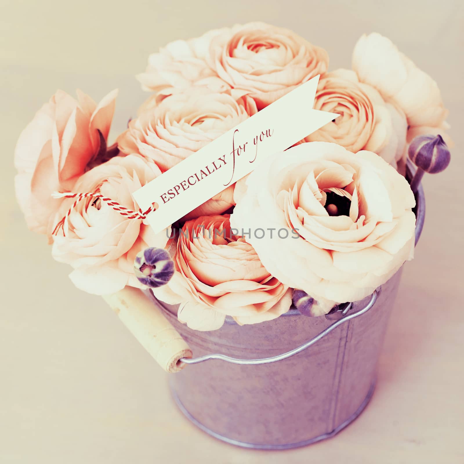 Flowers, rose. Beautiful, pink bouquet in the pot