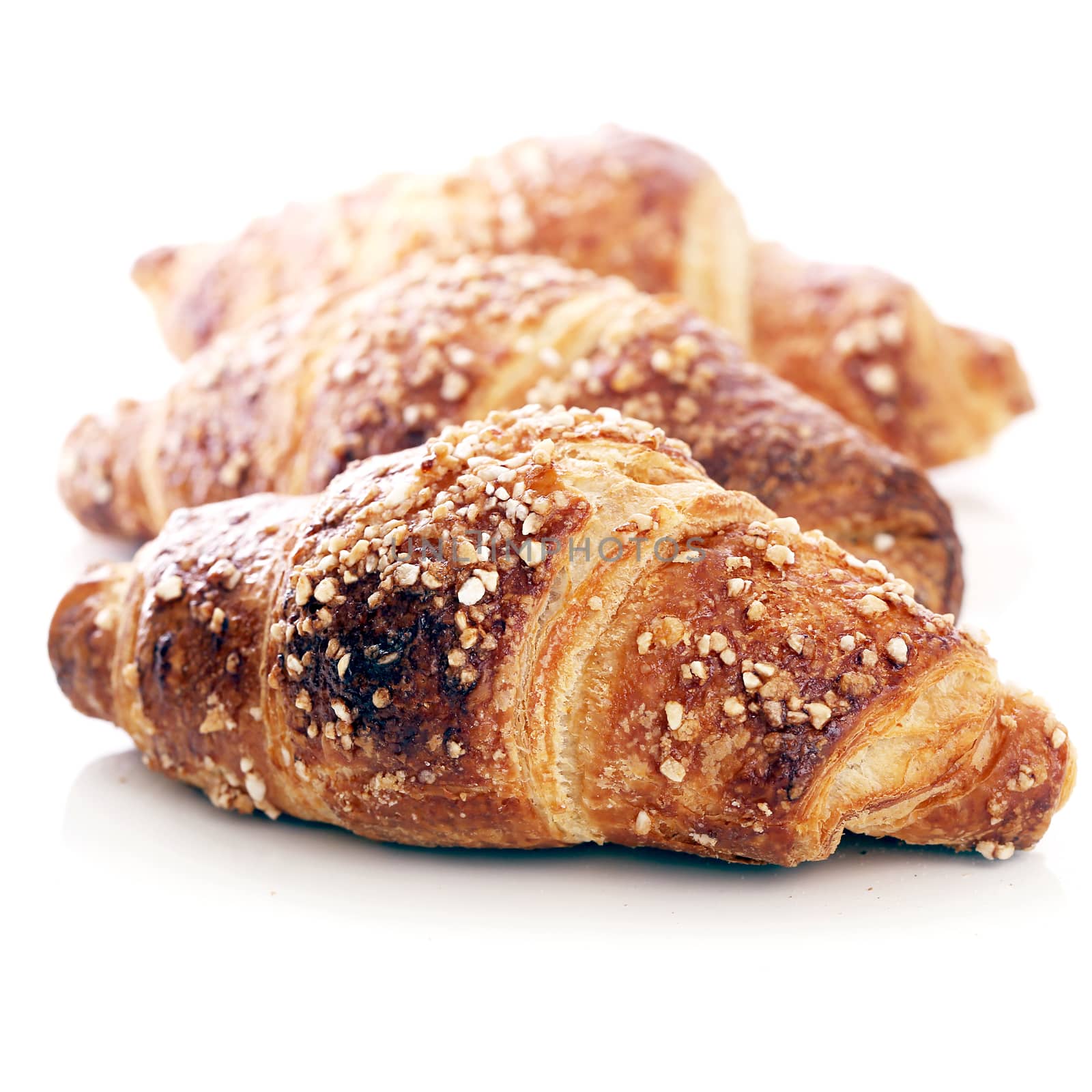 Yummy croissants on a white background